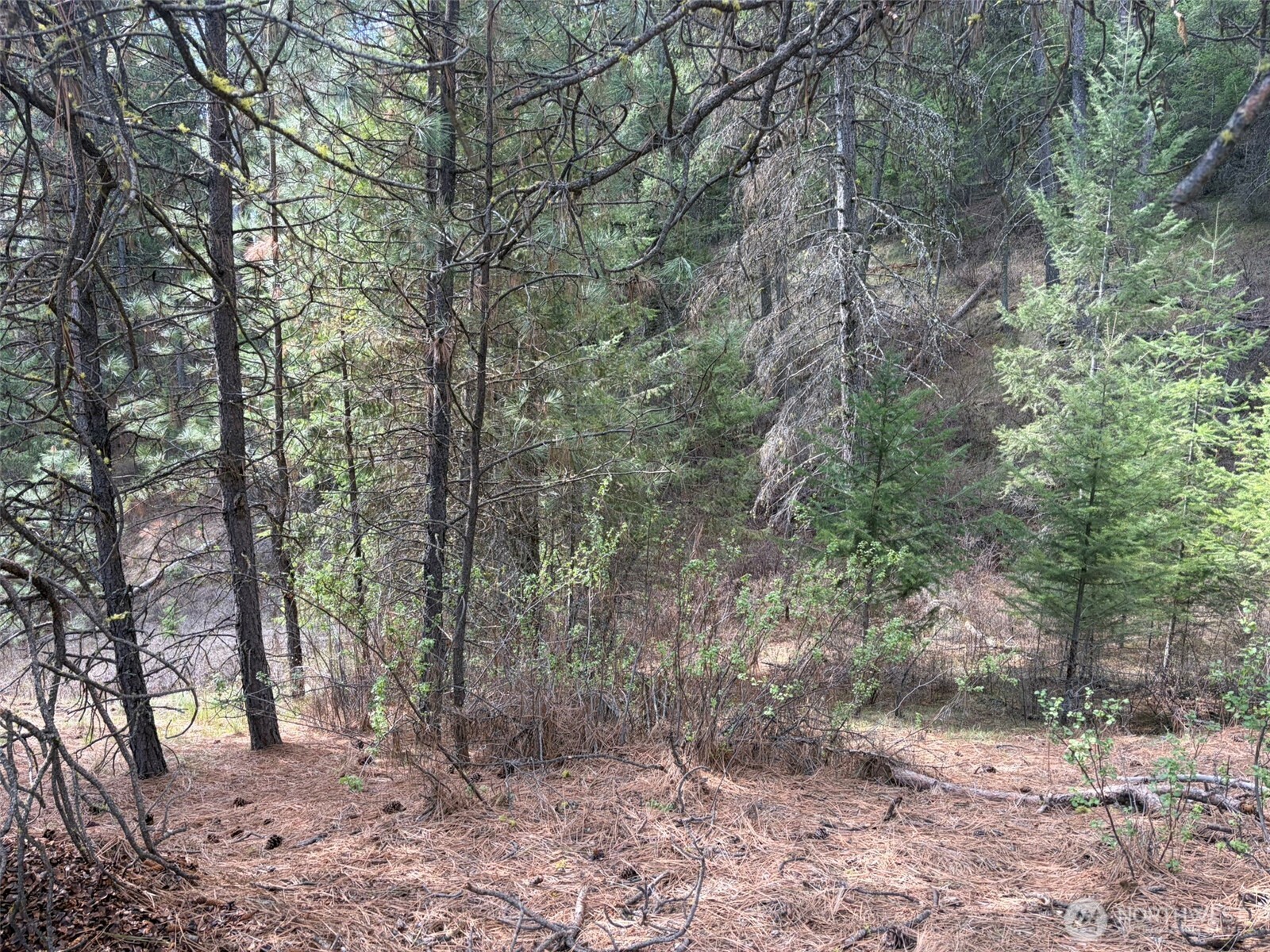 111 Tbd E West Curlew Lake Road Property Photo 15