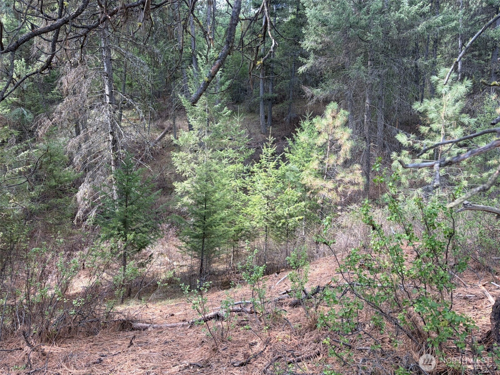 111 Tbd E West Curlew Lake Road Property Photo 16