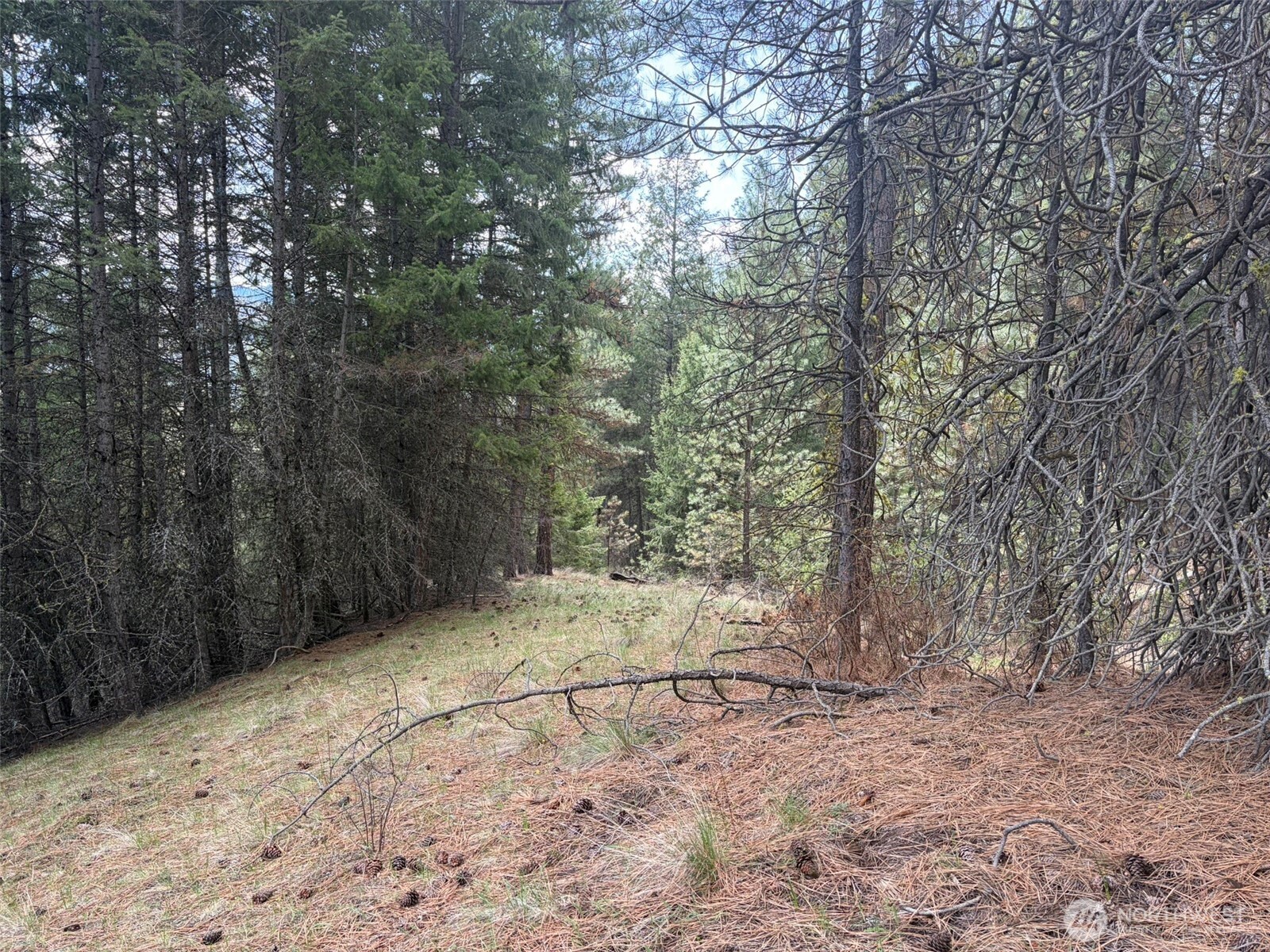 111 Tbd E West Curlew Lake Road Property Photo 17