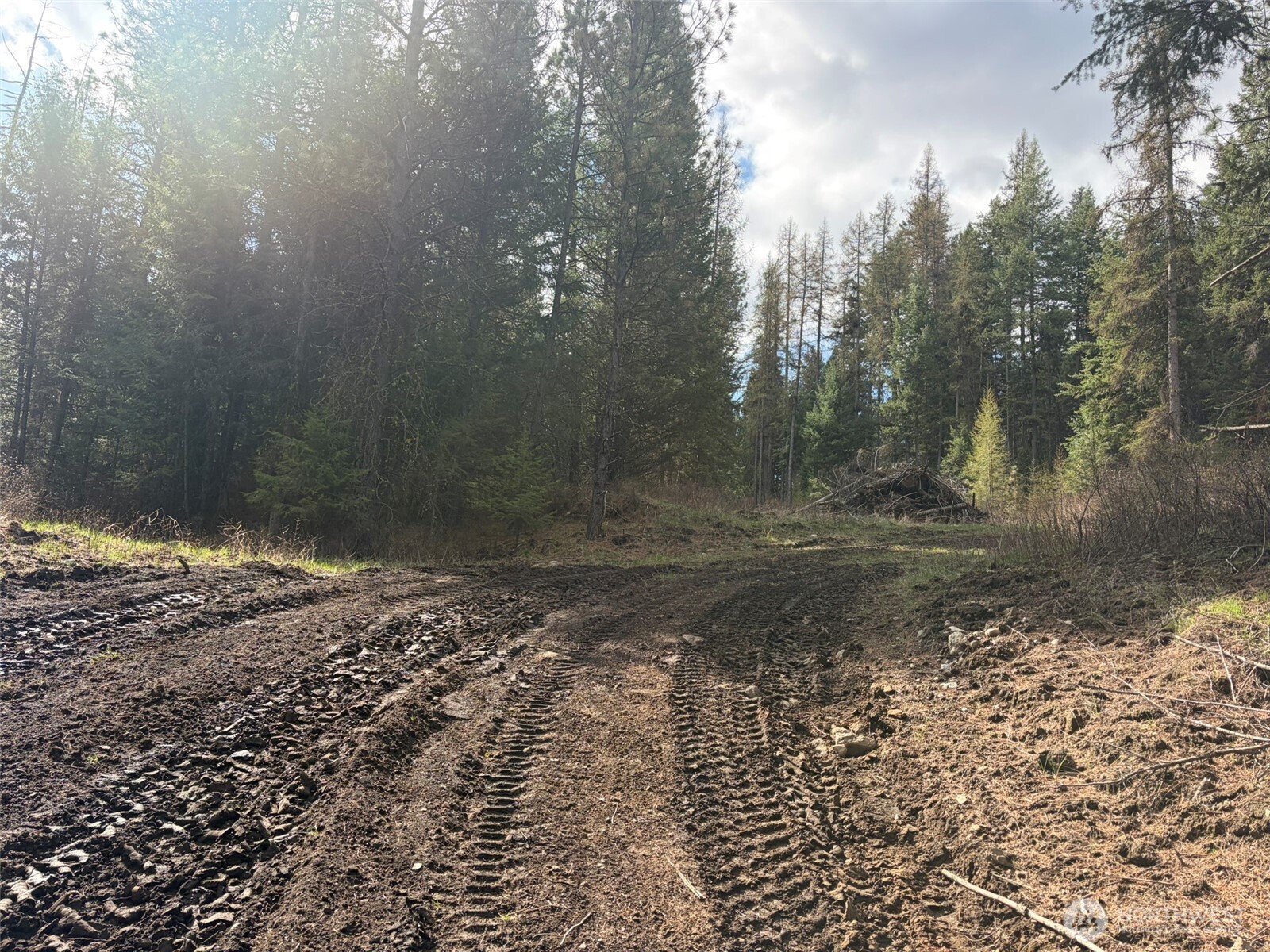 111 Tbd E West Curlew Lake Road Property Photo 18