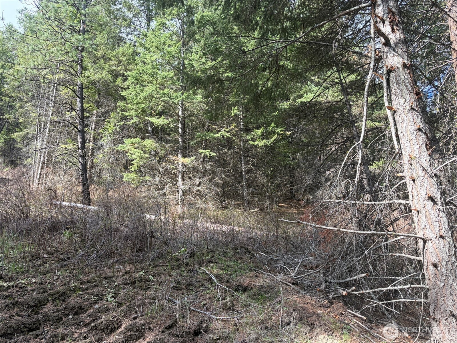 111 Tbd E West Curlew Lake Road Property Photo 19