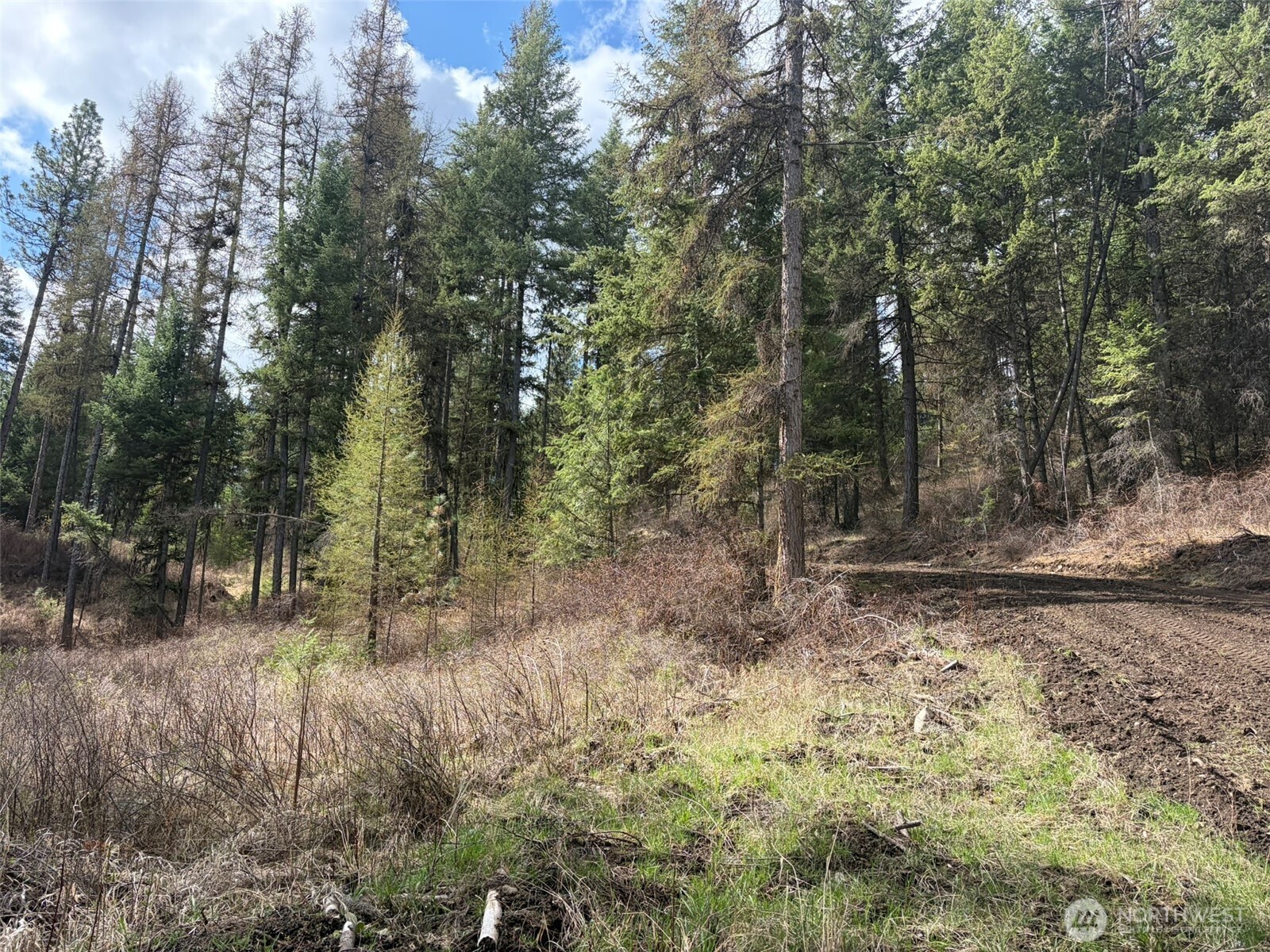 111 Tbd E West Curlew Lake Road Property Photo 21