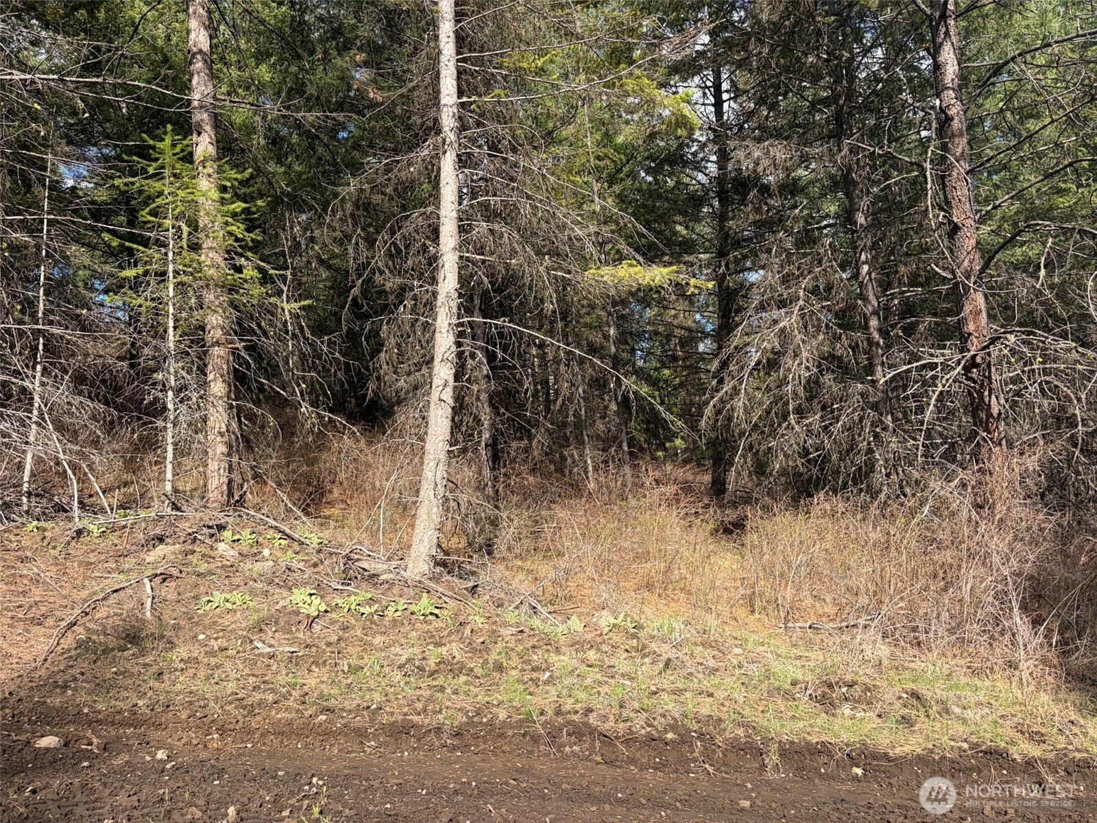 111 Tbd E West Curlew Lake Road Property Photo 23