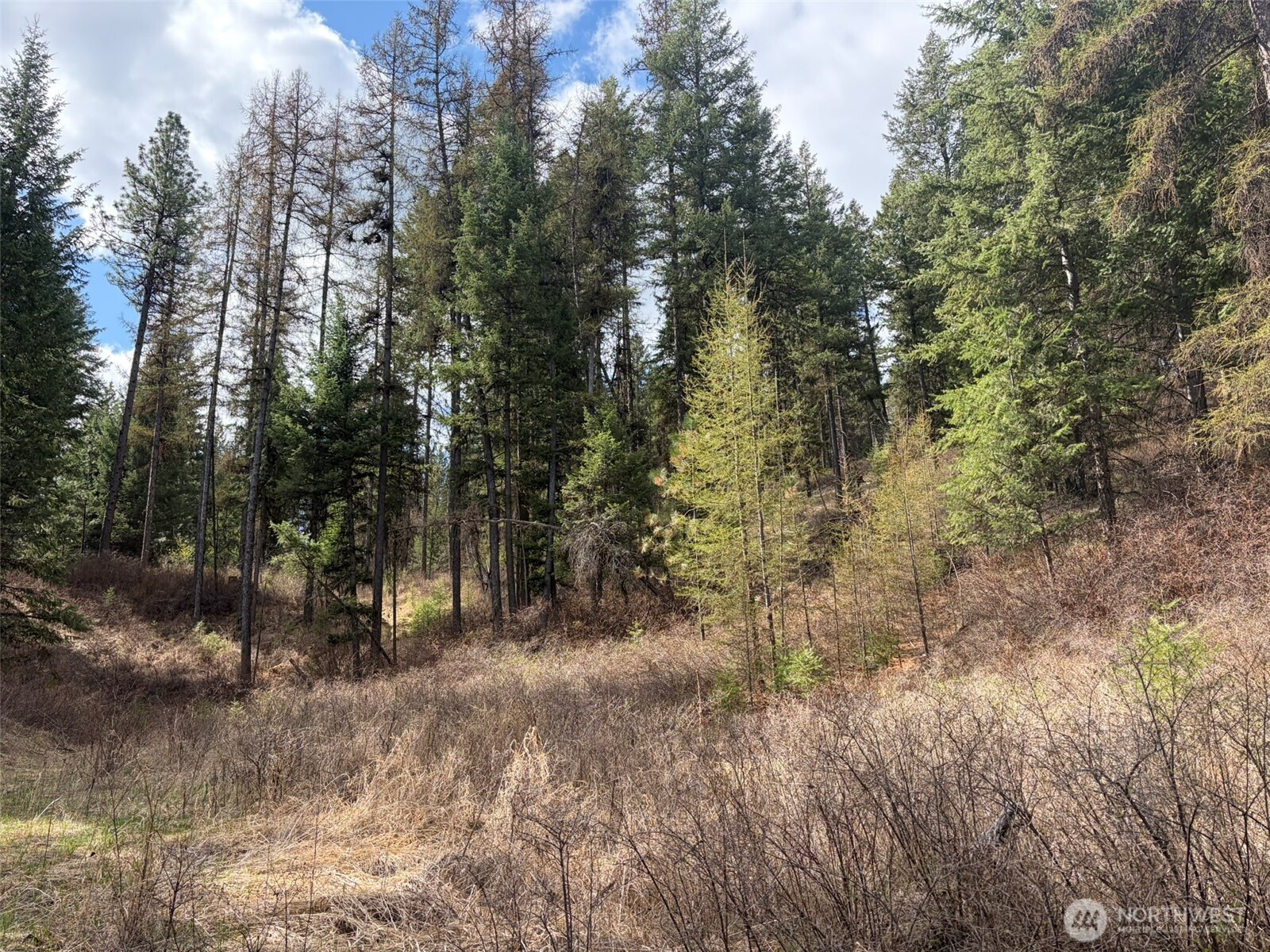 111 Tbd E West Curlew Lake Road Property Photo 24