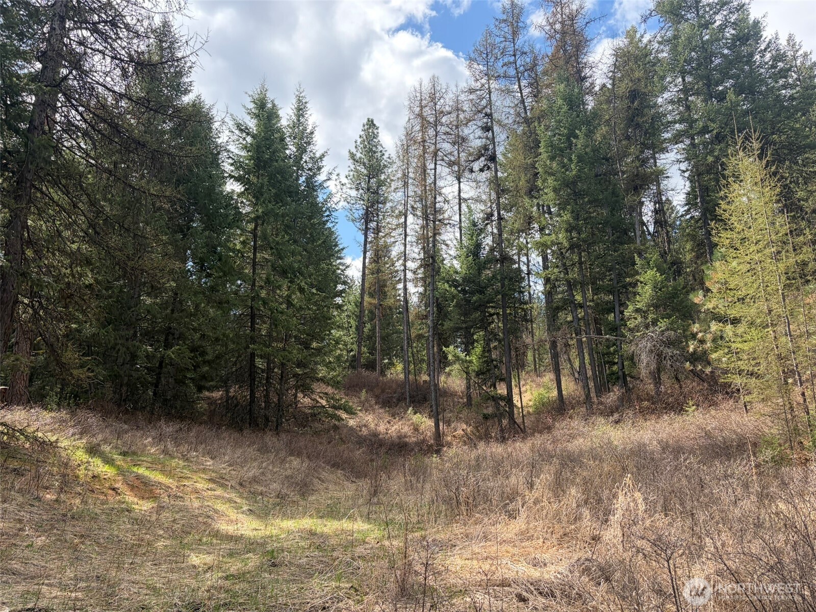 111 Tbd E West Curlew Lake Road Property Photo 25