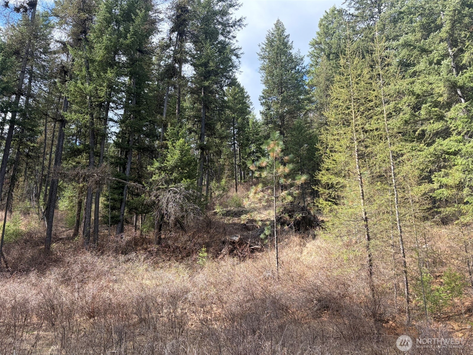 111 Tbd E West Curlew Lake Road Property Photo 26