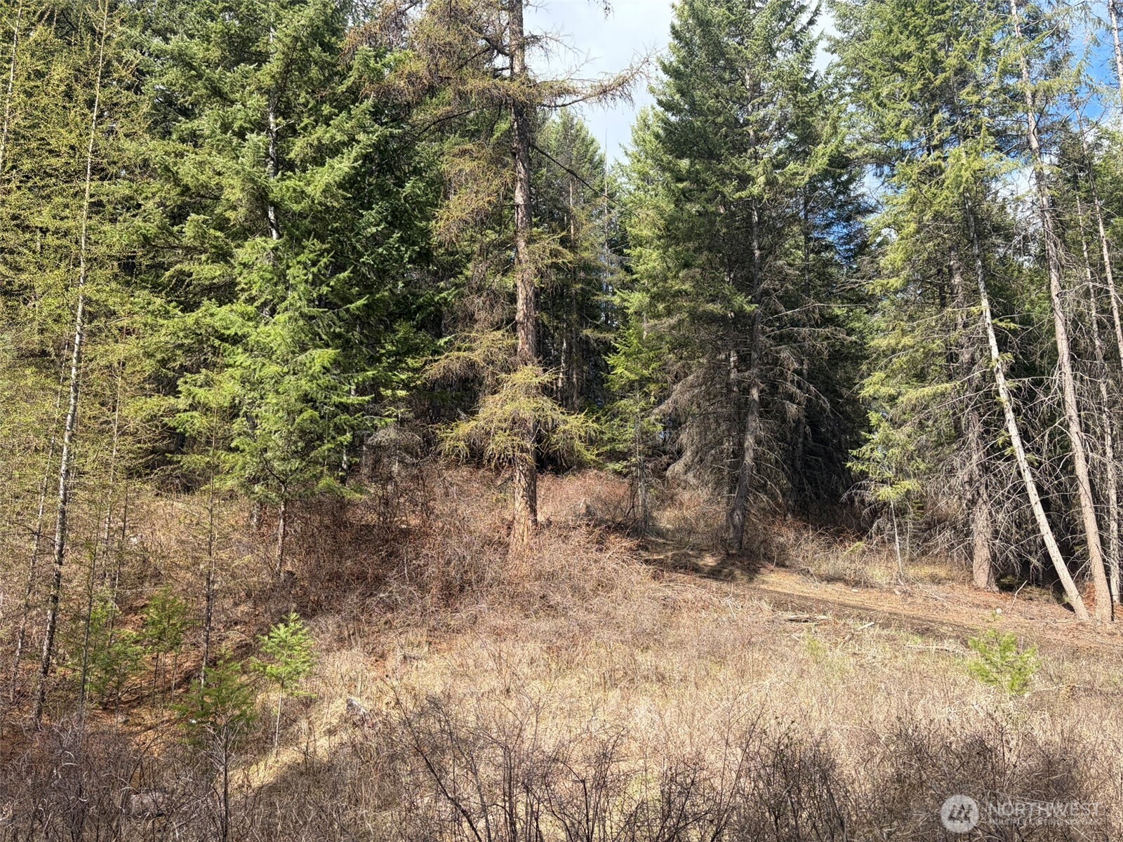 111 Tbd E West Curlew Lake Road Property Photo 27
