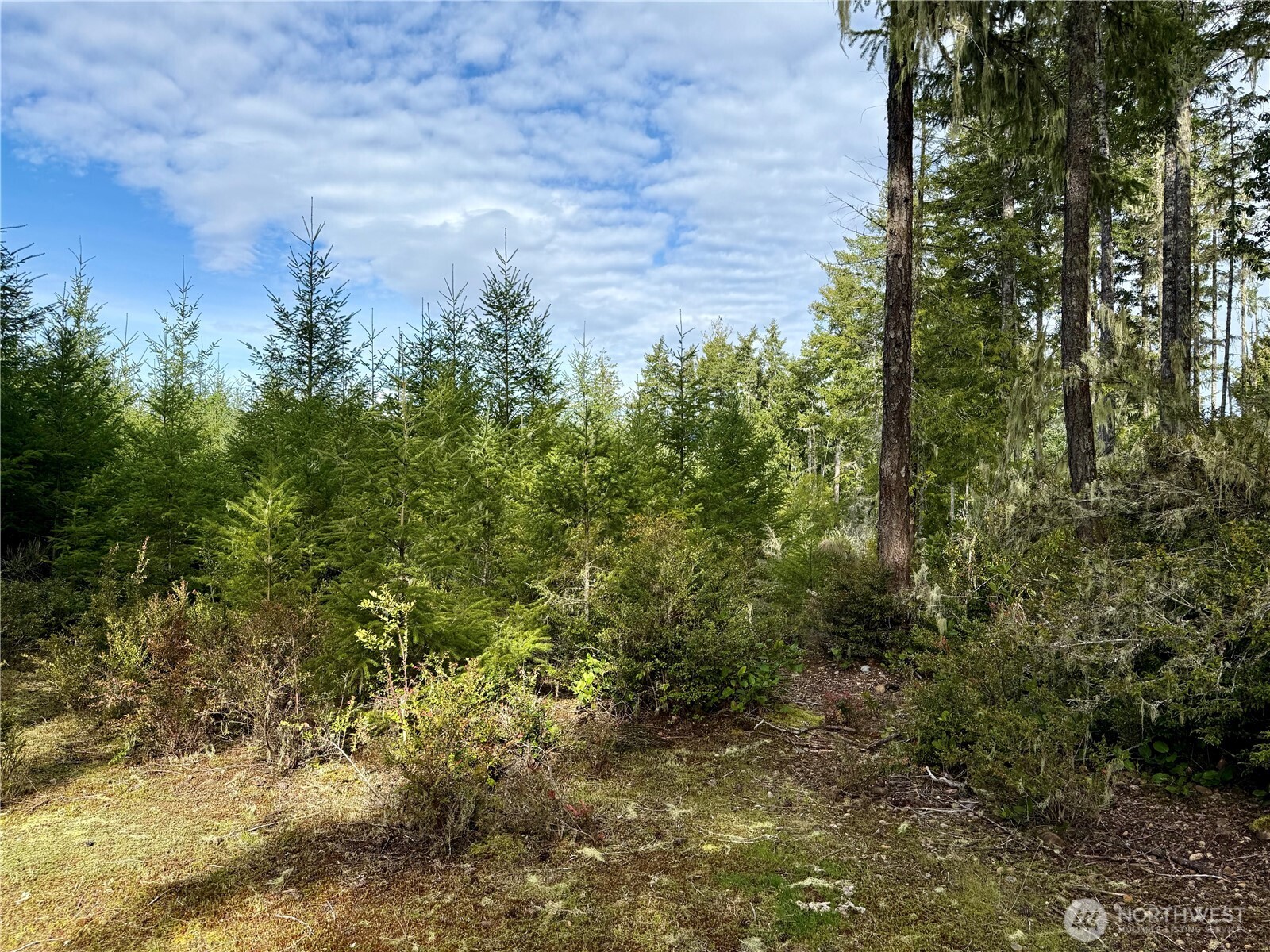 7288 Beauchamp Lane Property Photo 6