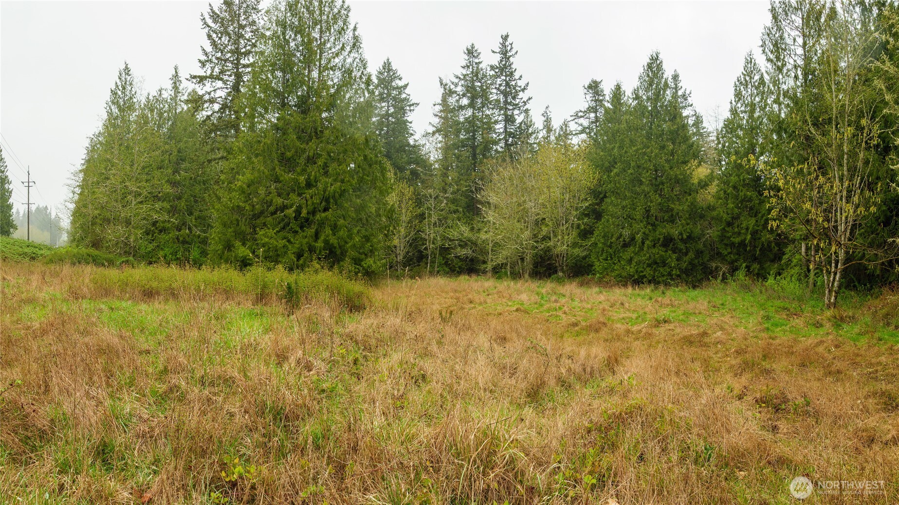313 Weston Parkway Property Photo 10
