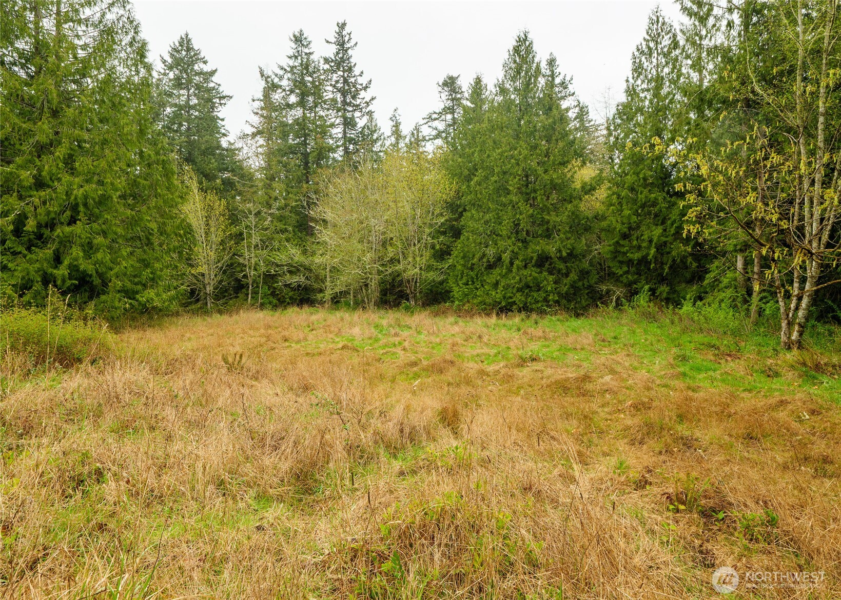 313 Weston Parkway Property Photo 11