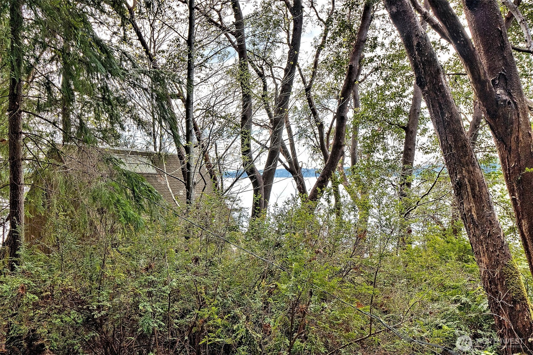 101 E Peale Drive Property Photo 24