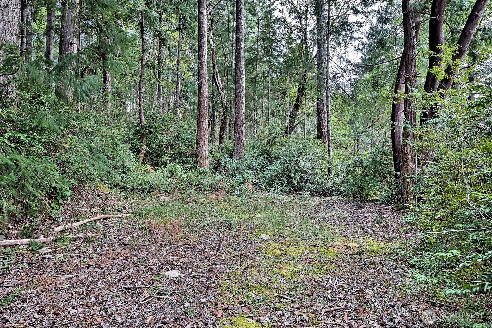101 E Peale Drive Property Photo 25