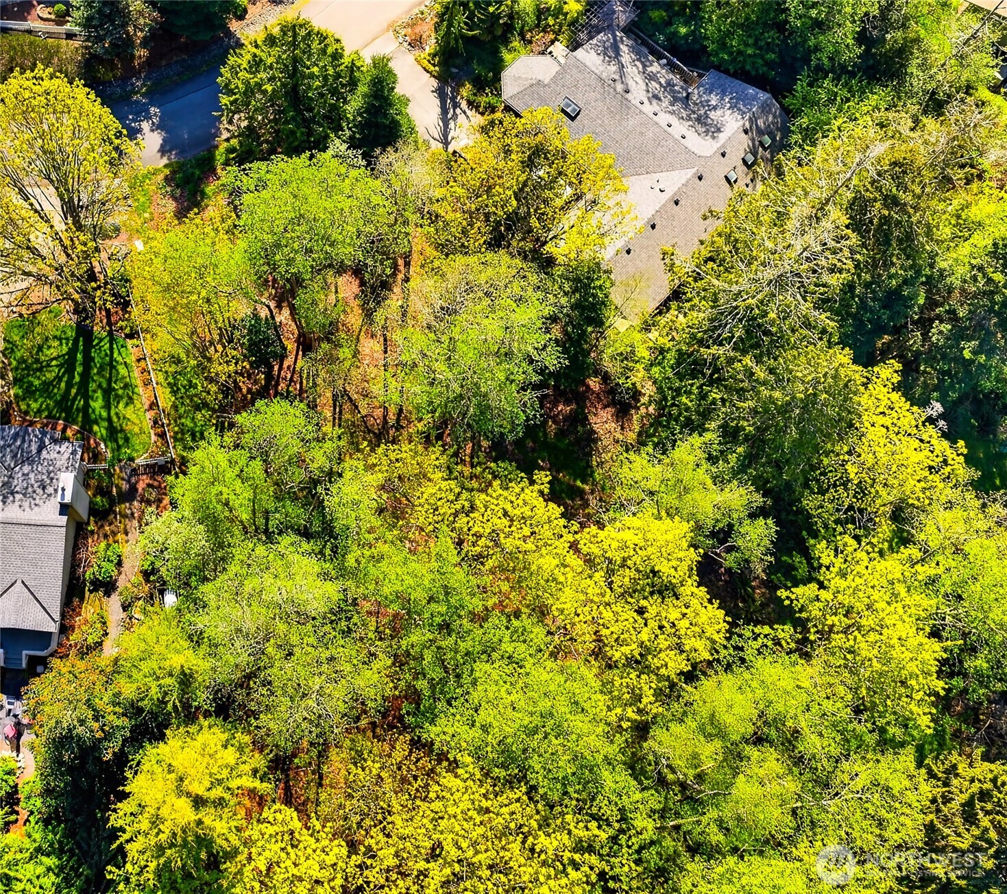 784 Lillooet Property Photo 4