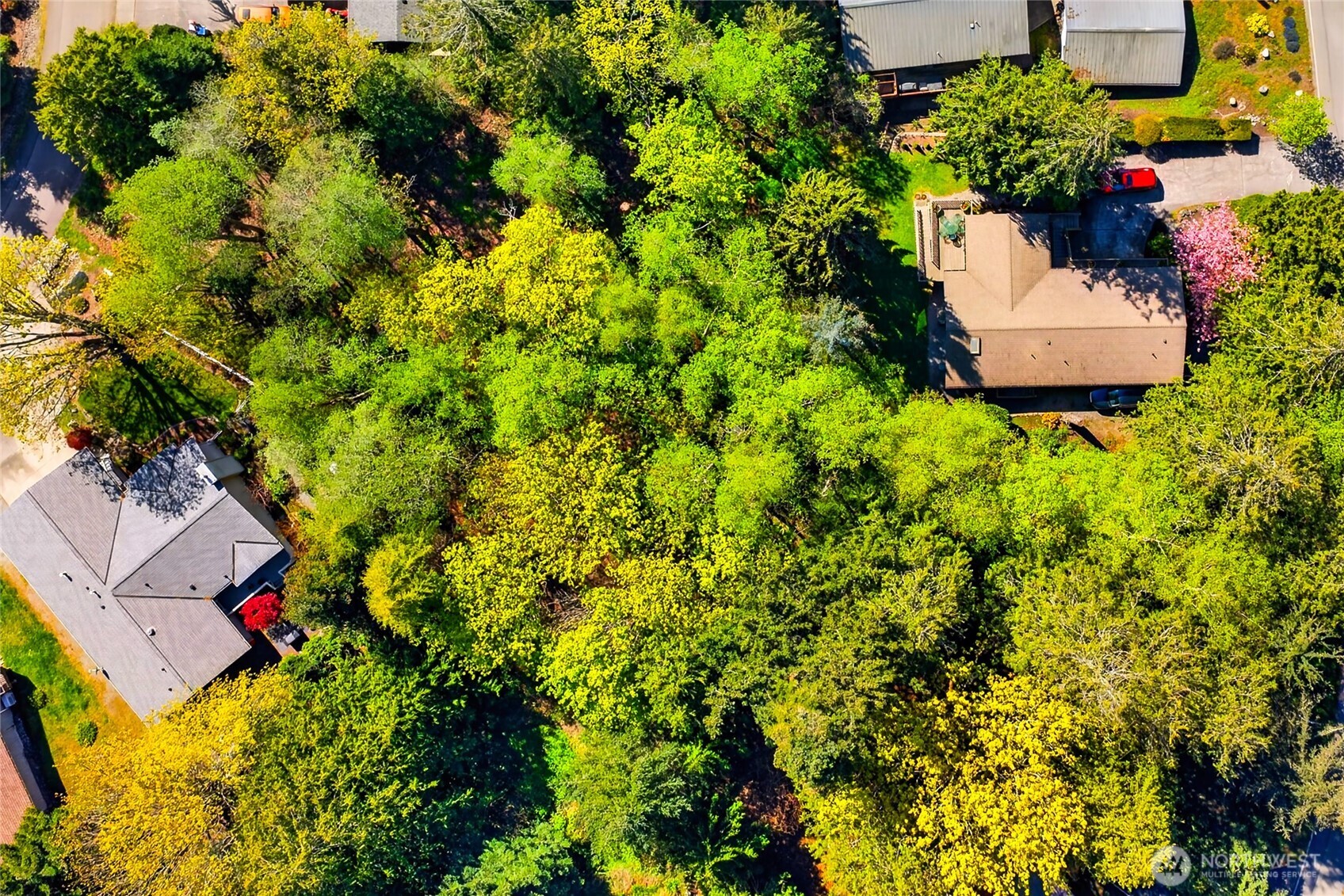 784 Lillooet Property Photo 6