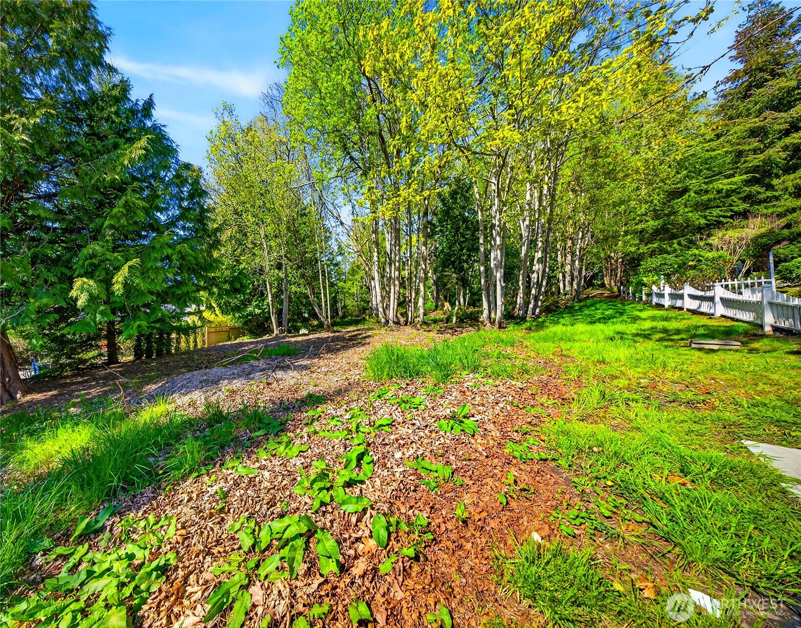 784 Lillooet Property Photo 7