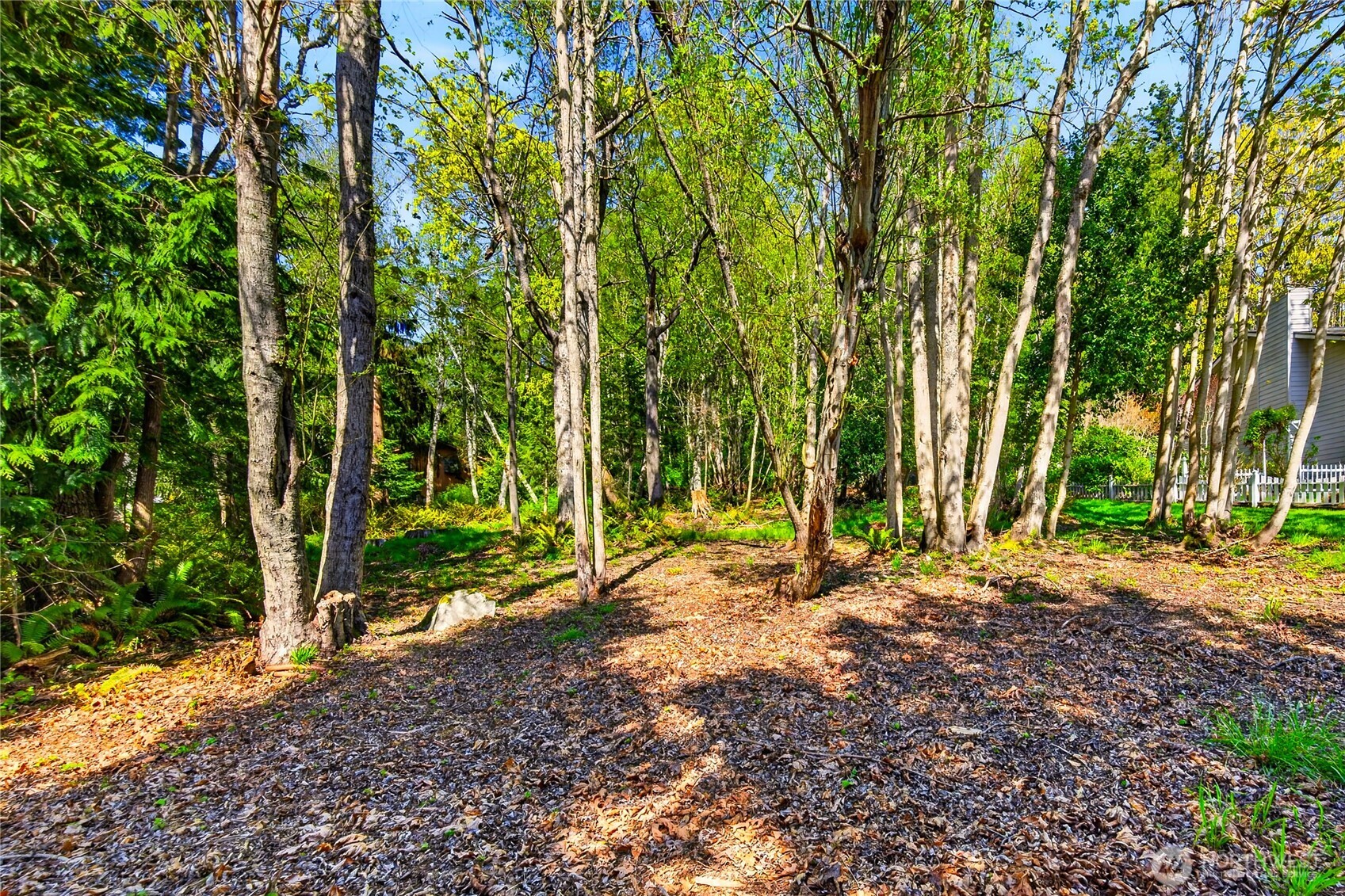 784 Lillooet Property Photo 11