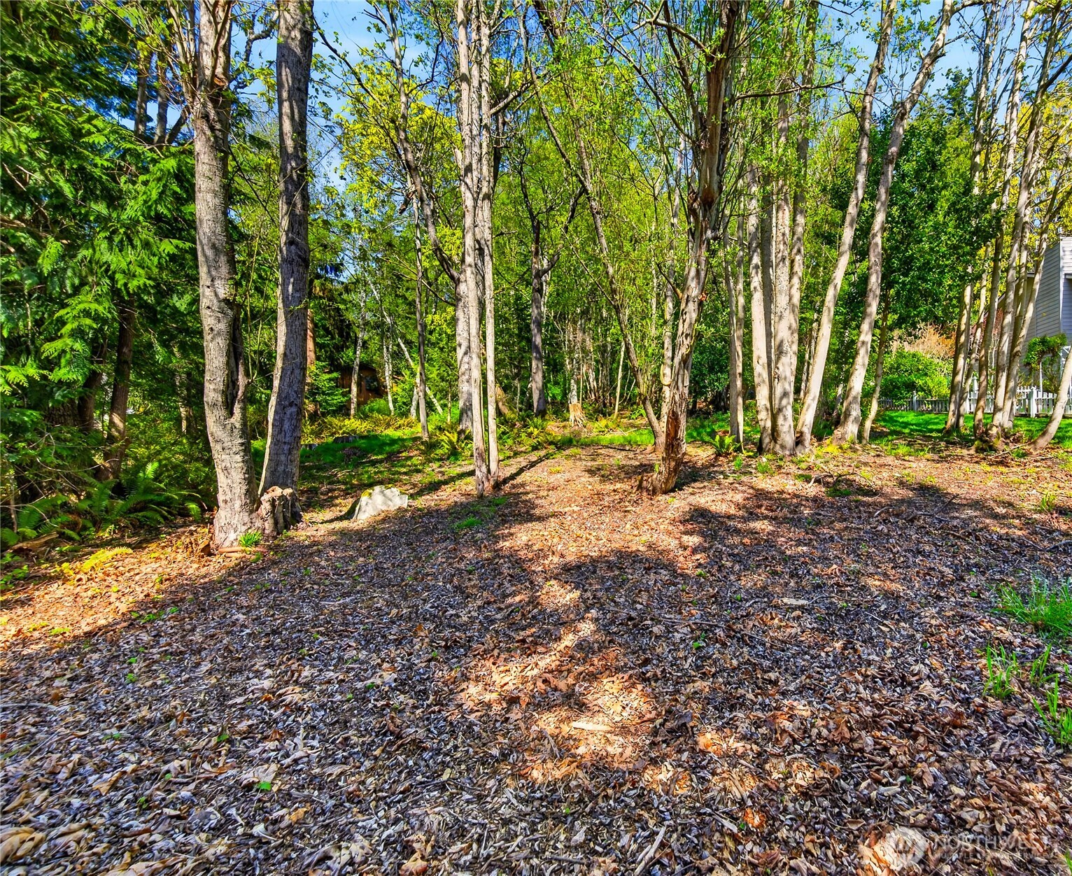 784 Lillooet Property Photo 12