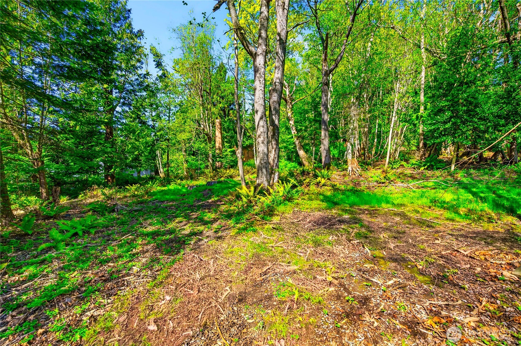 784 Lillooet Property Photo 13