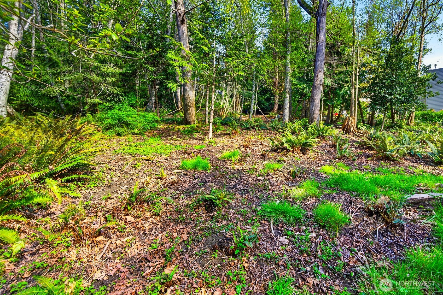 784 Lillooet Property Photo 15