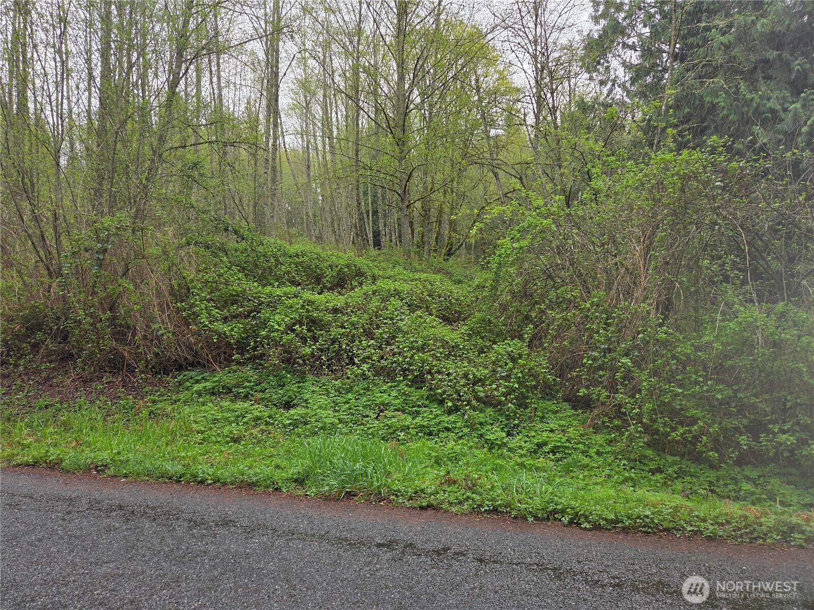 18829 71st Drive Property Photo 6