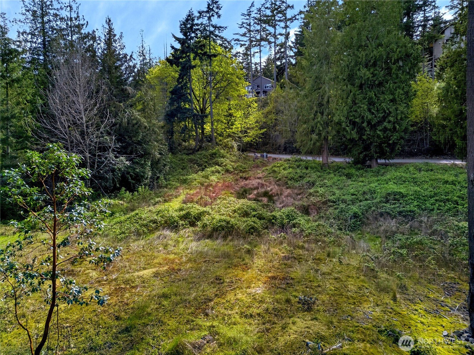 11927 Madrona Ridge Place Property Photo 1