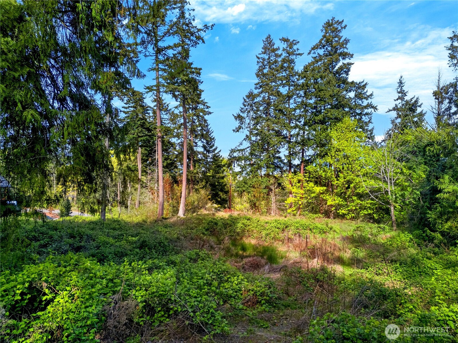 11927 Madrona Ridge Place Property Photo 2
