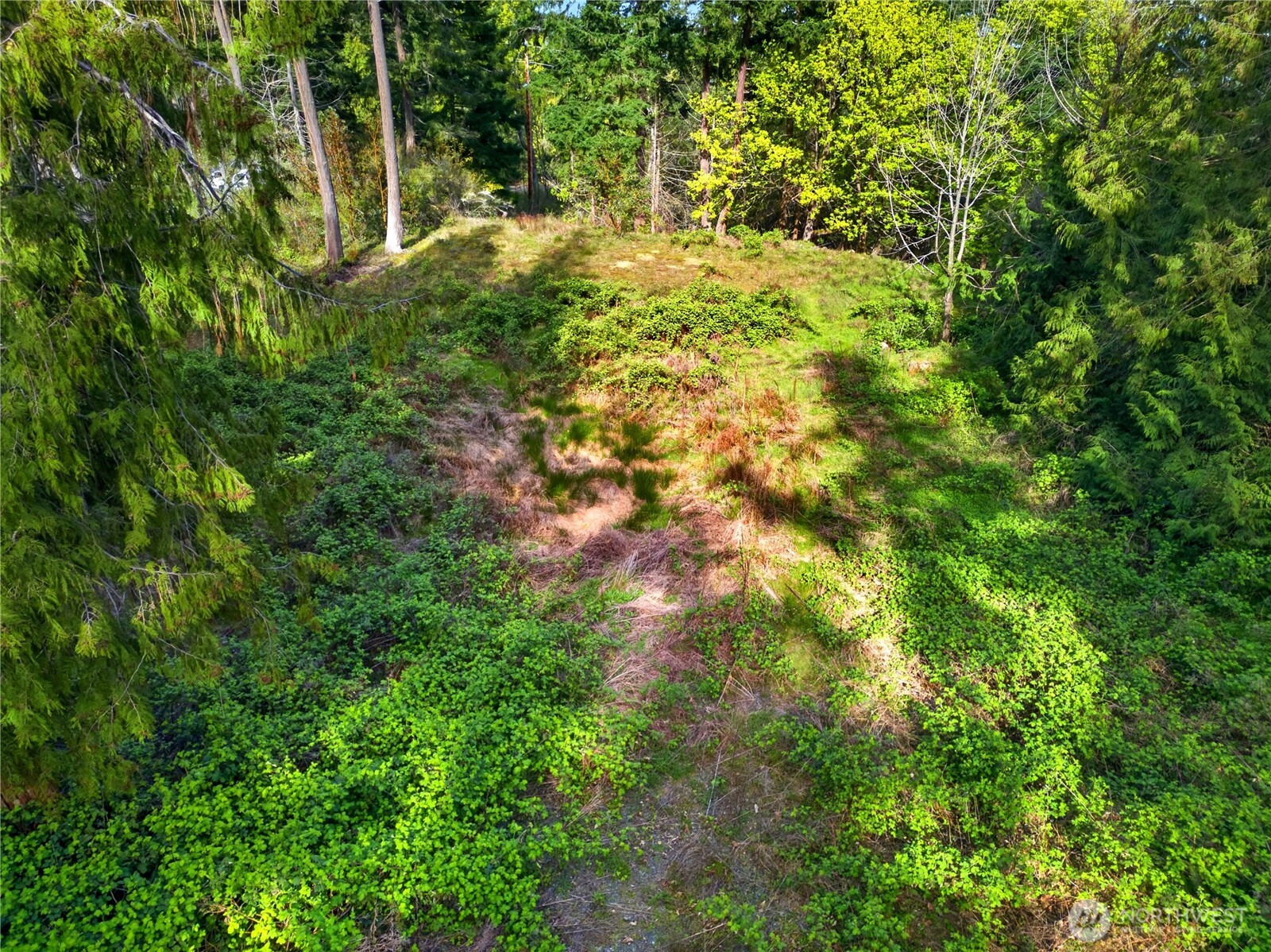 11927 Madrona Ridge Place Property Photo 7