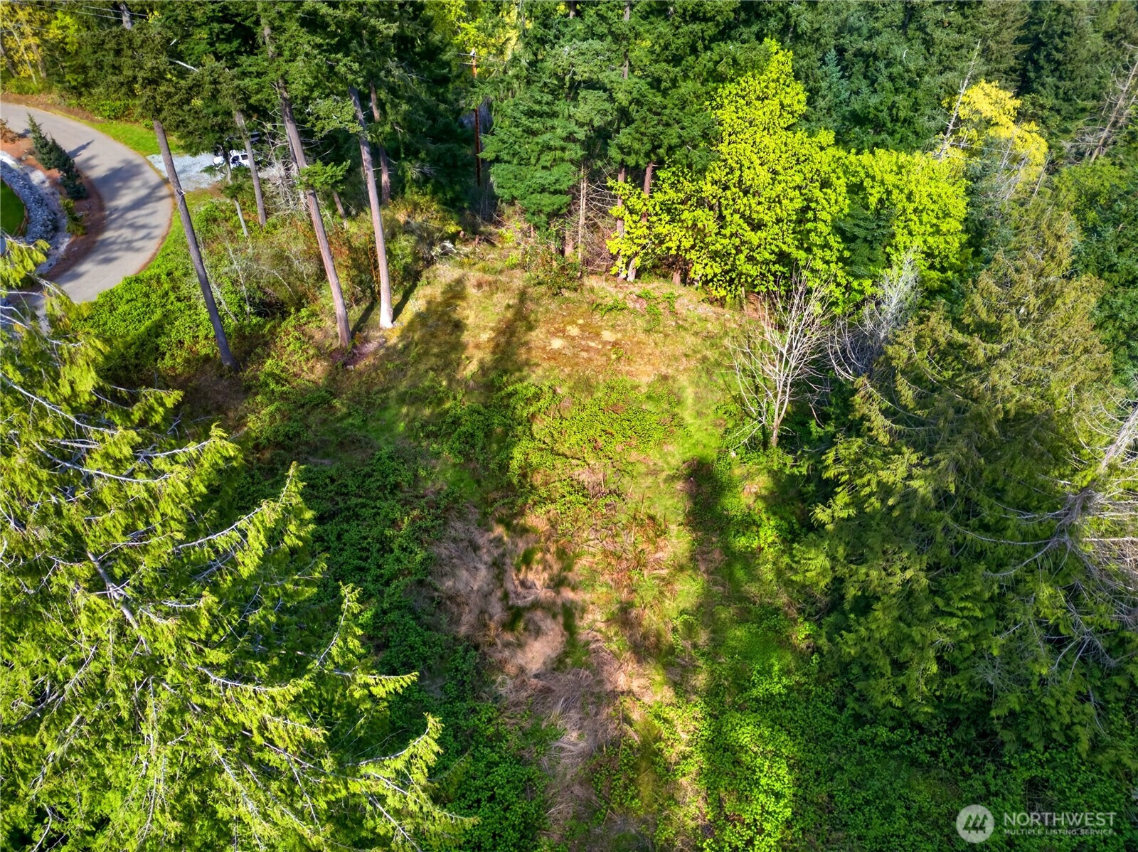 11927 Madrona Ridge Place Property Photo 8