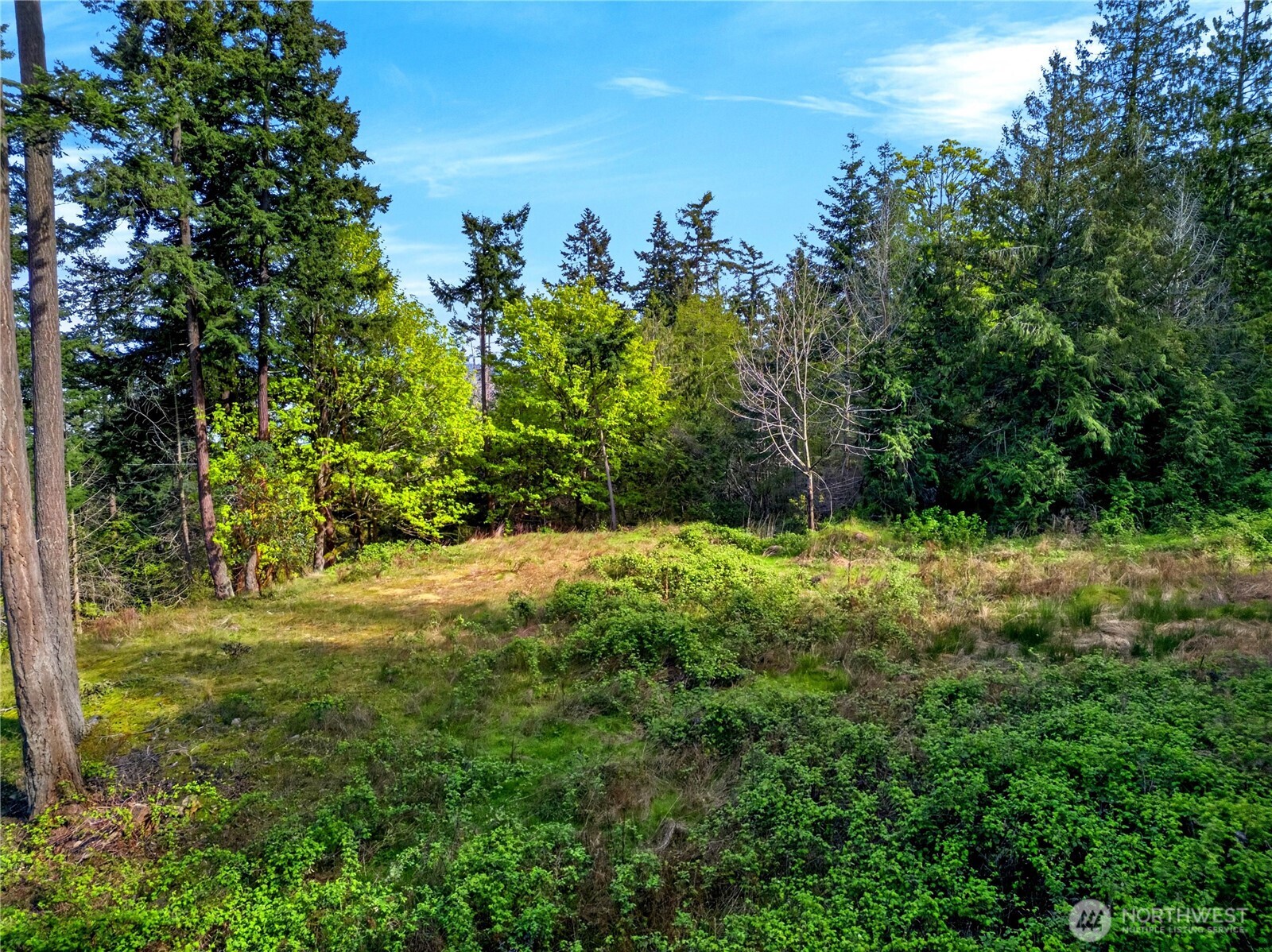 11927 Madrona Ridge Place Property Photo 16