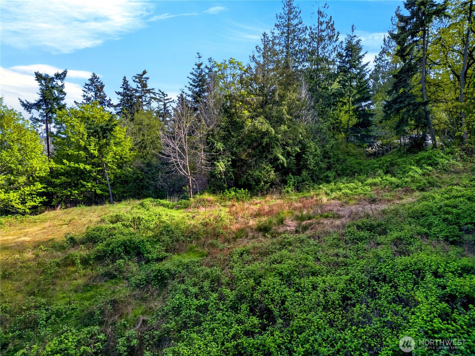 11927 Madrona Ridge Place Property Photo 17