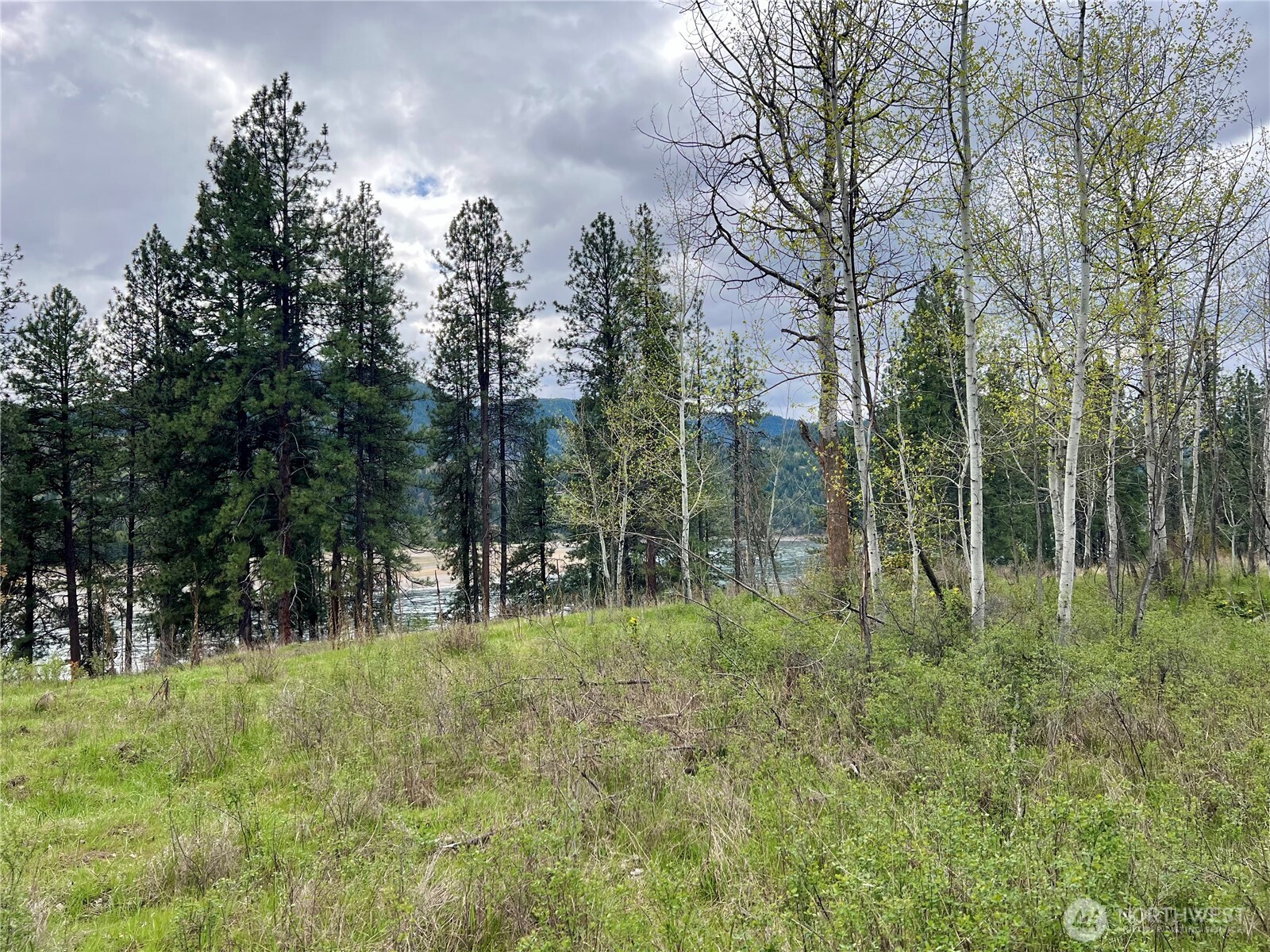 4239 A Northport Flat Creek Road Property Photo 11