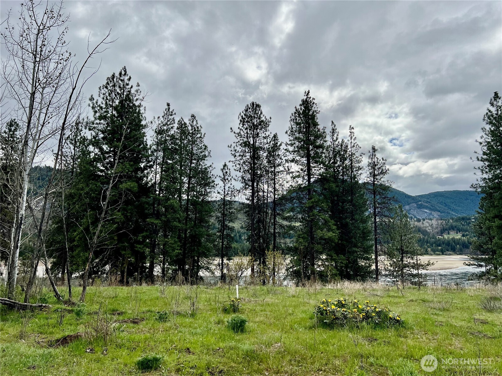 4239 A Northport Flat Creek Road Property Photo 14