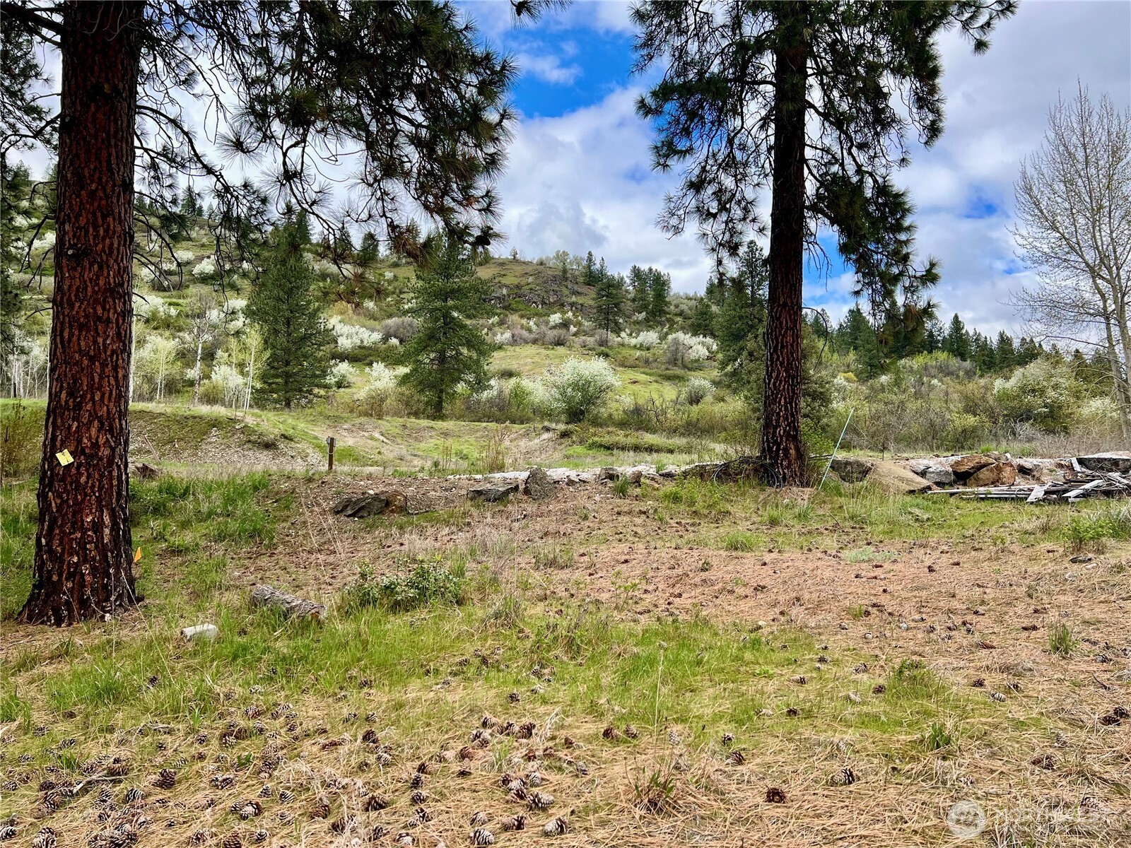4239 A Northport Flat Creek Road Property Photo 21