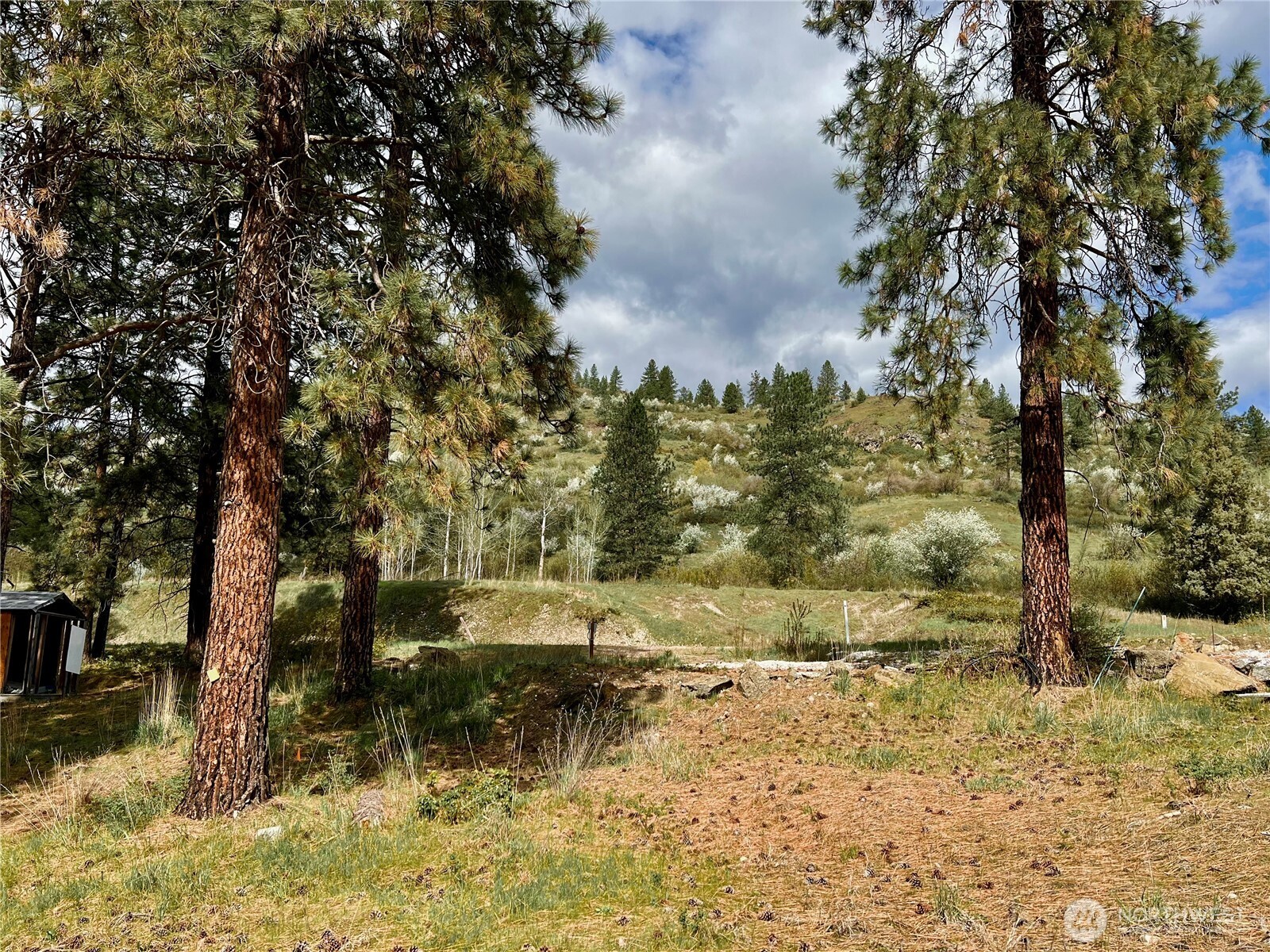 4239 A Northport Flat Creek Road Property Photo 39