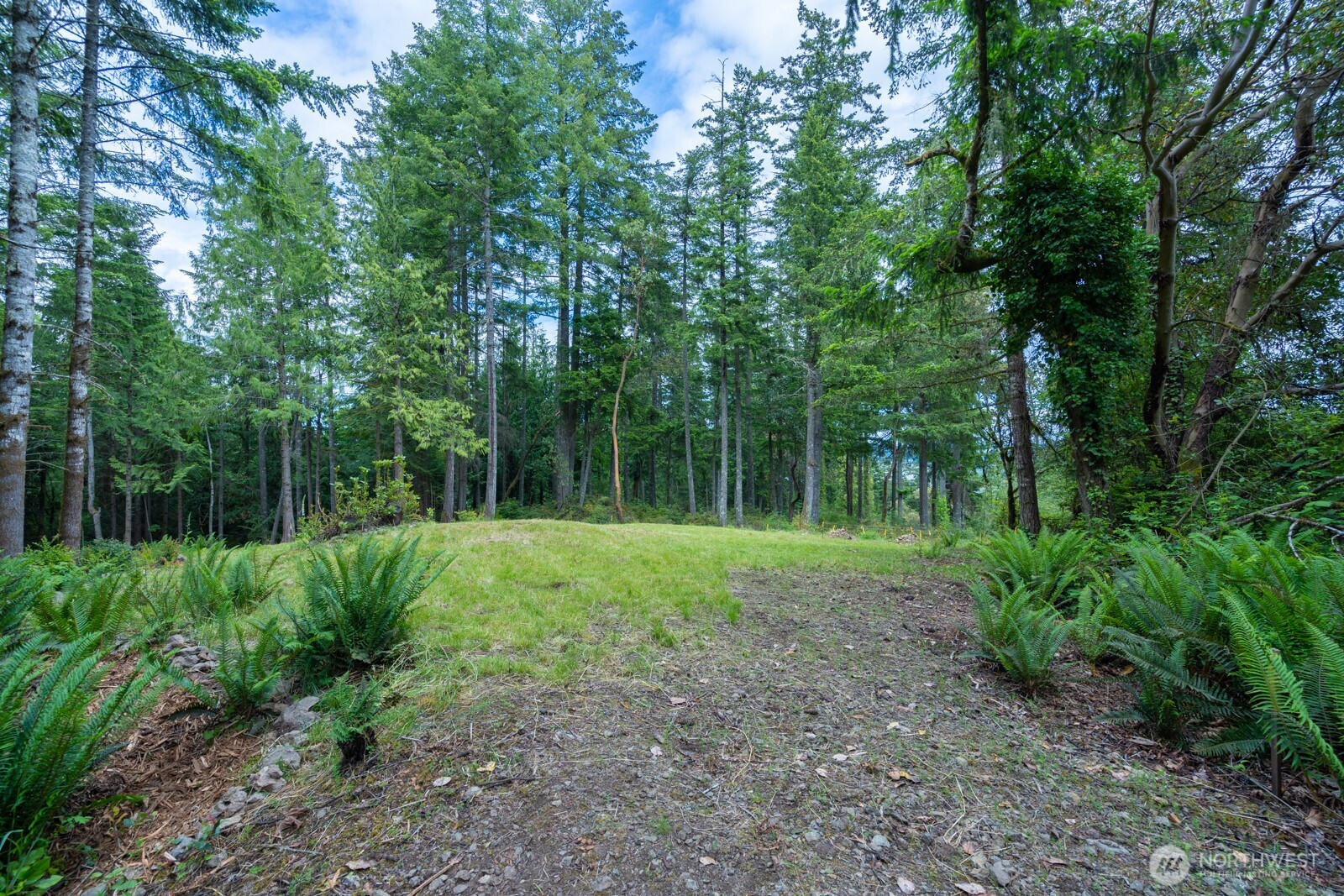 0 Sand Dollar Road Property Photo 2