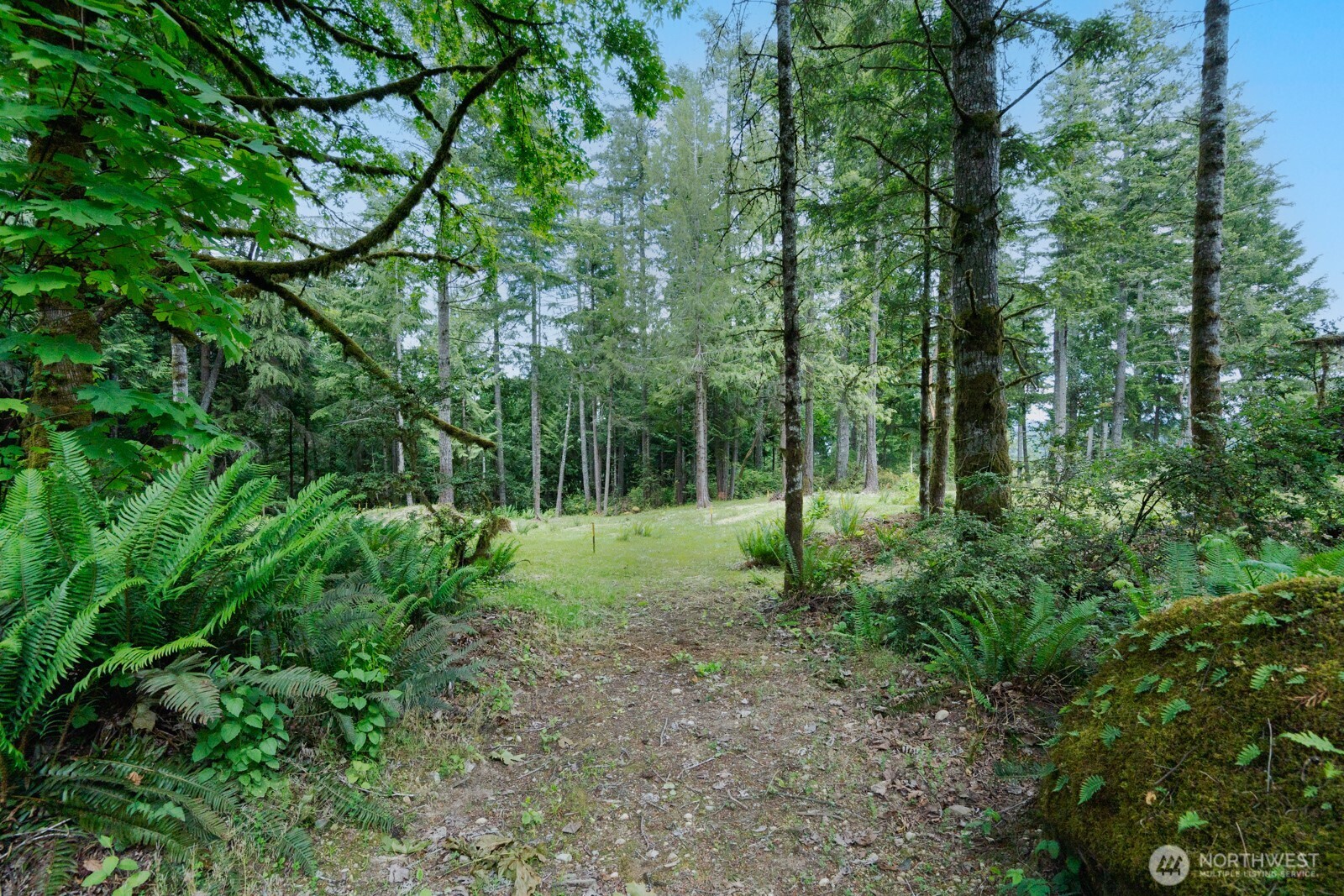 0 Sand Dollar Road Property Photo 3