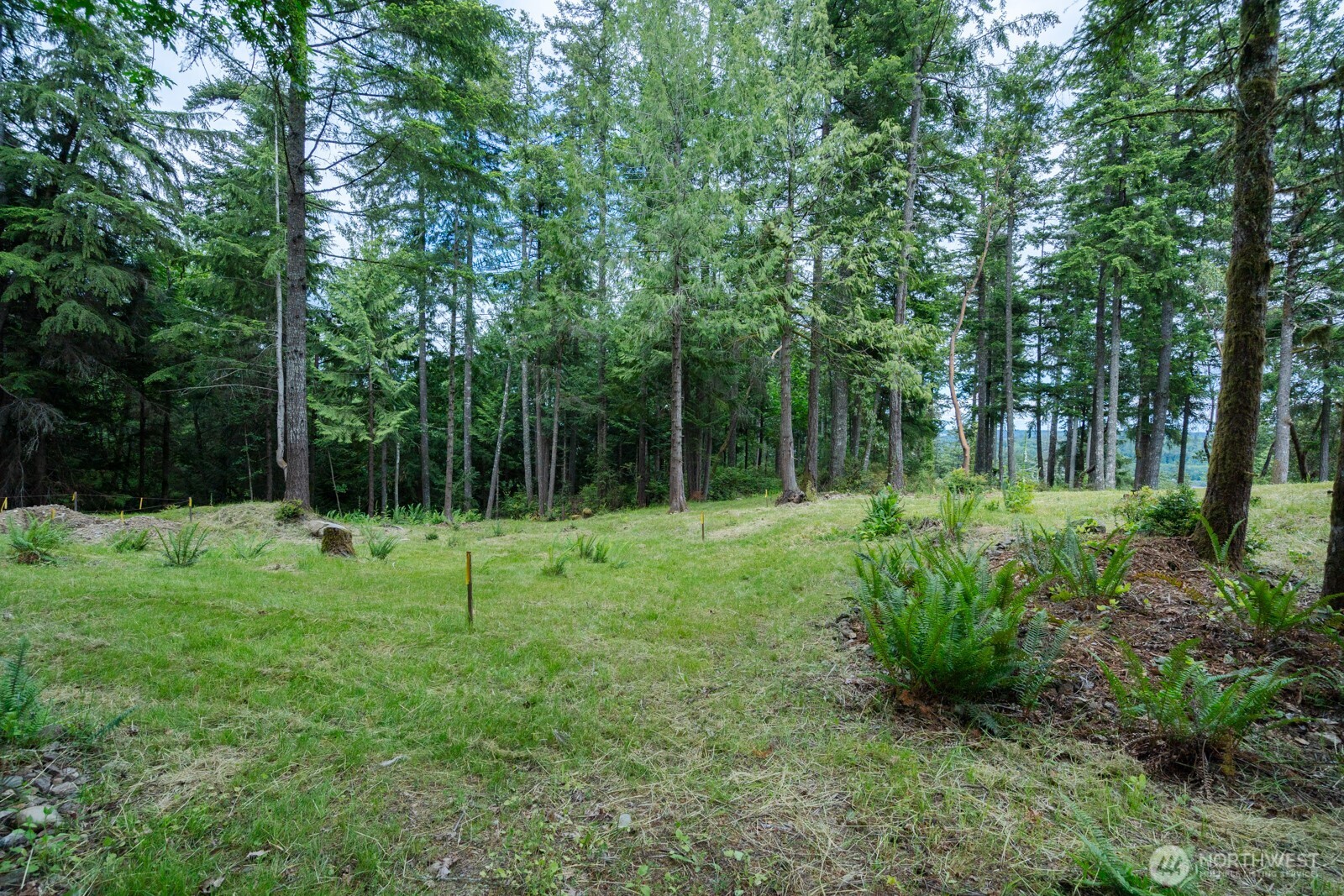 0 Sand Dollar Road Property Photo 4