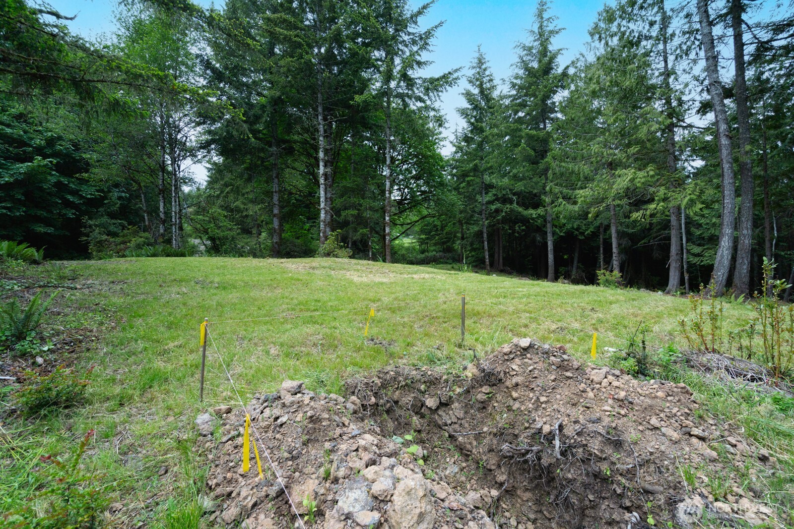 0 Sand Dollar Road Property Photo 5