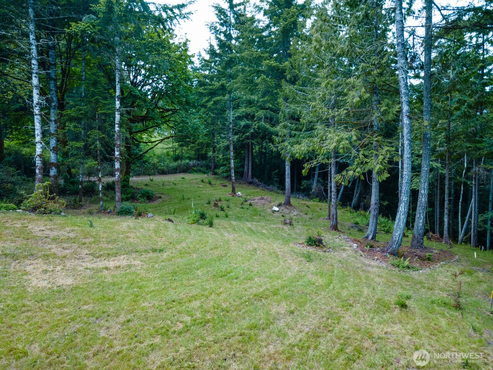 0 Sand Dollar Road Property Photo 6