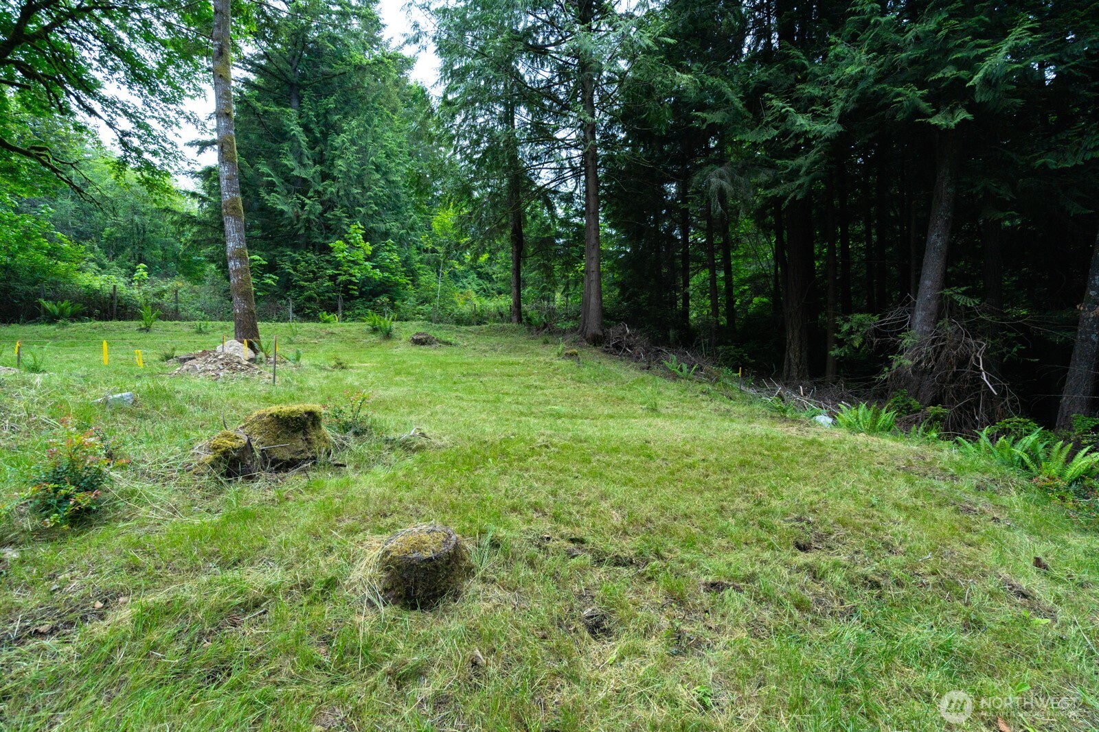 1 Sand Dollar Road Property Photo 2