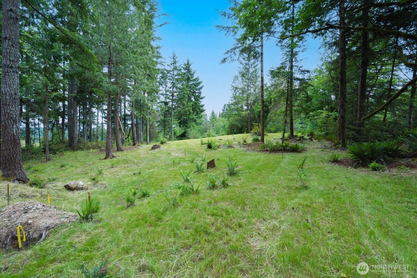 1 Sand Dollar Road Property Photo 3
