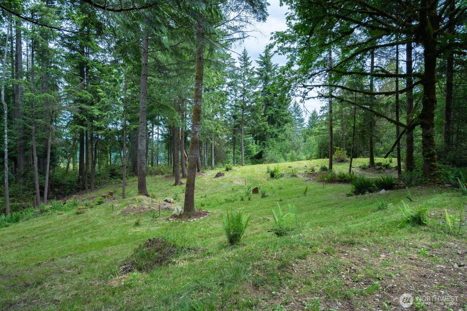 1 Sand Dollar Road Property Photo 5