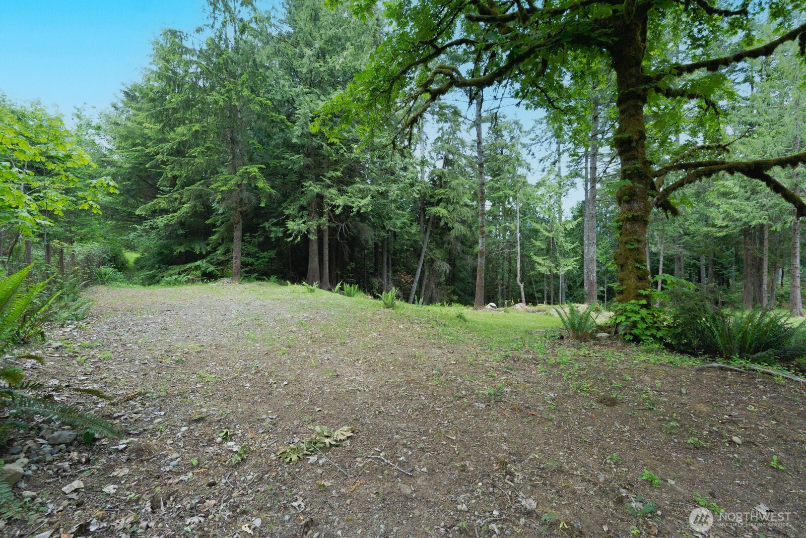 1 Sand Dollar Road Property Photo 6