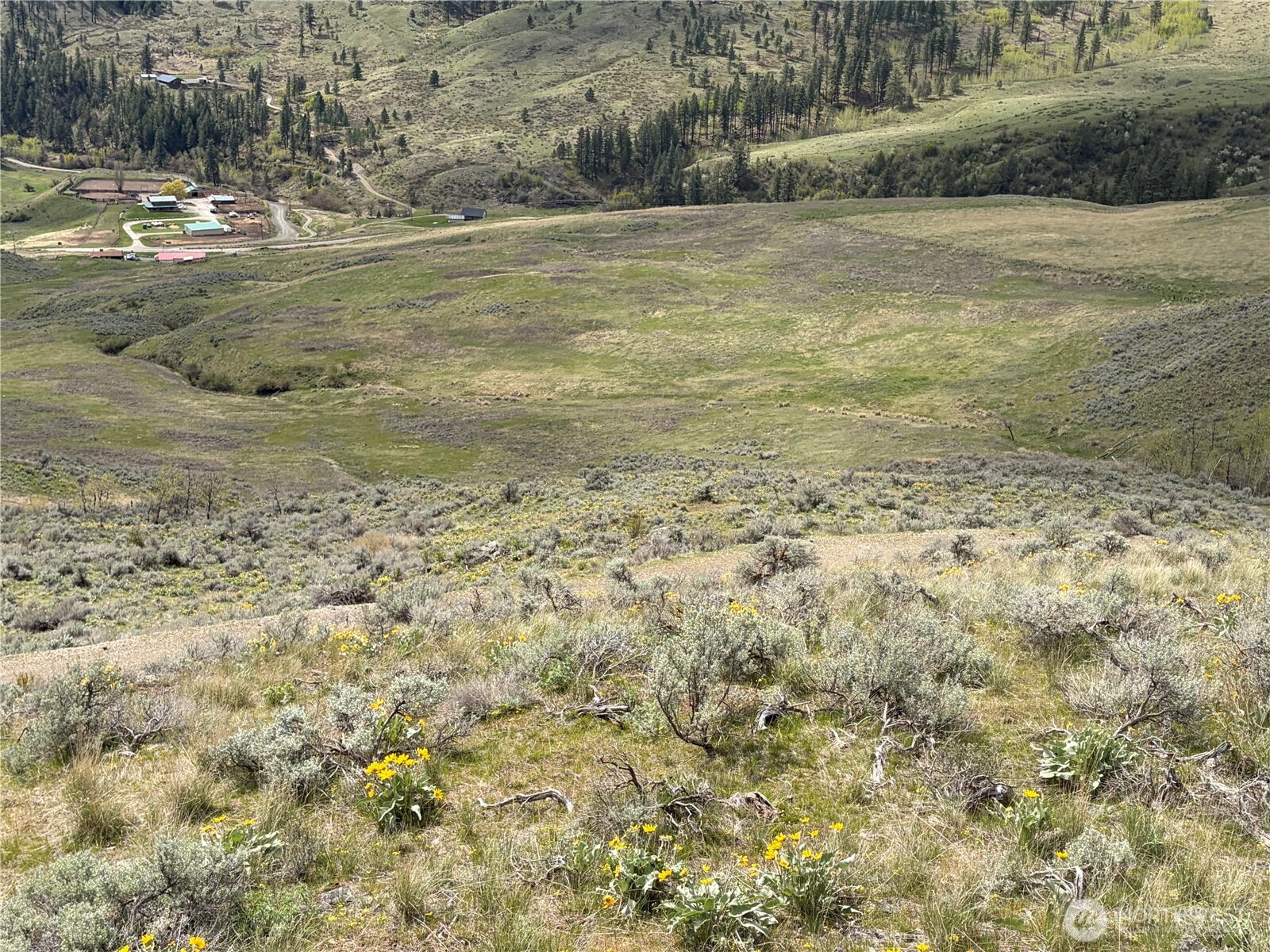 0 Lot 4 Aspen Springs Property Photo 25