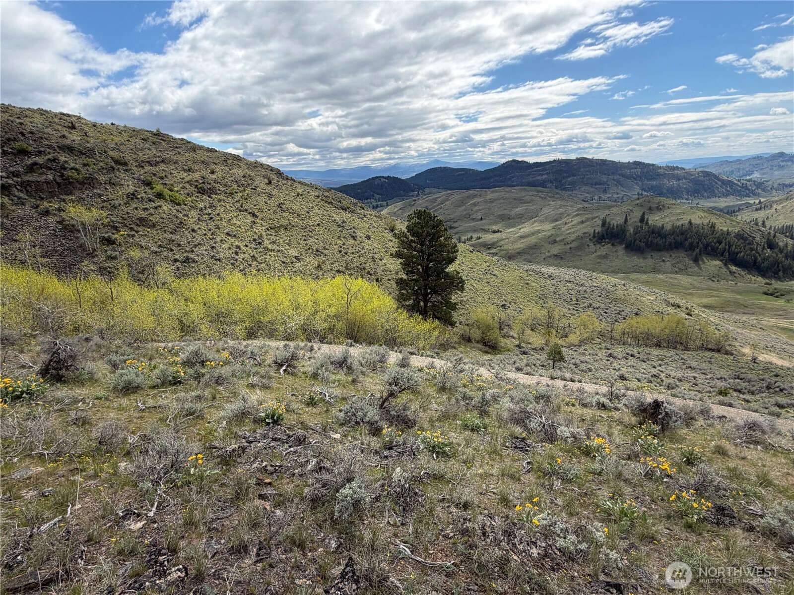 0 Lot 4 Aspen Springs Property Photo 26