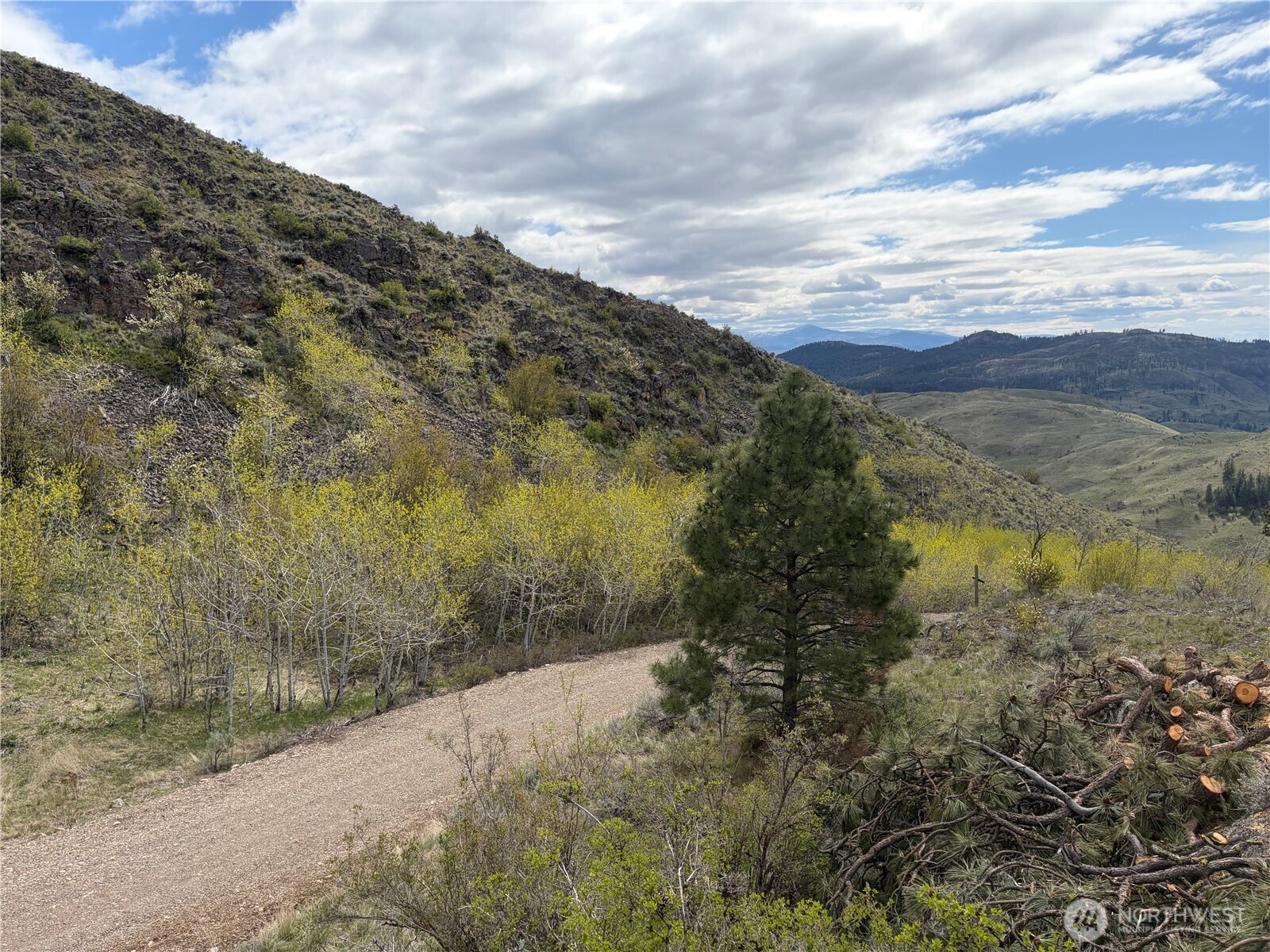 0 Lot 4 Aspen Springs Property Photo 29