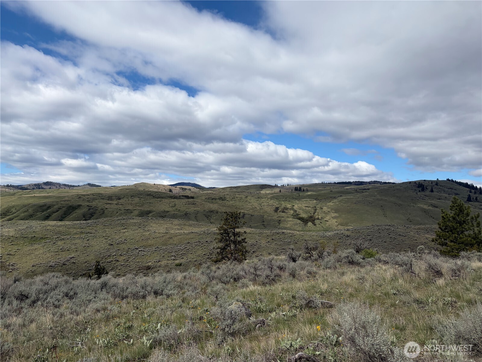 0 Lot 4 Aspen Springs Property Photo 31