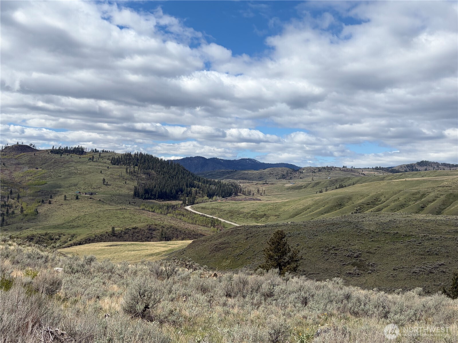 0 Lot 4 Aspen Springs Property Photo 33