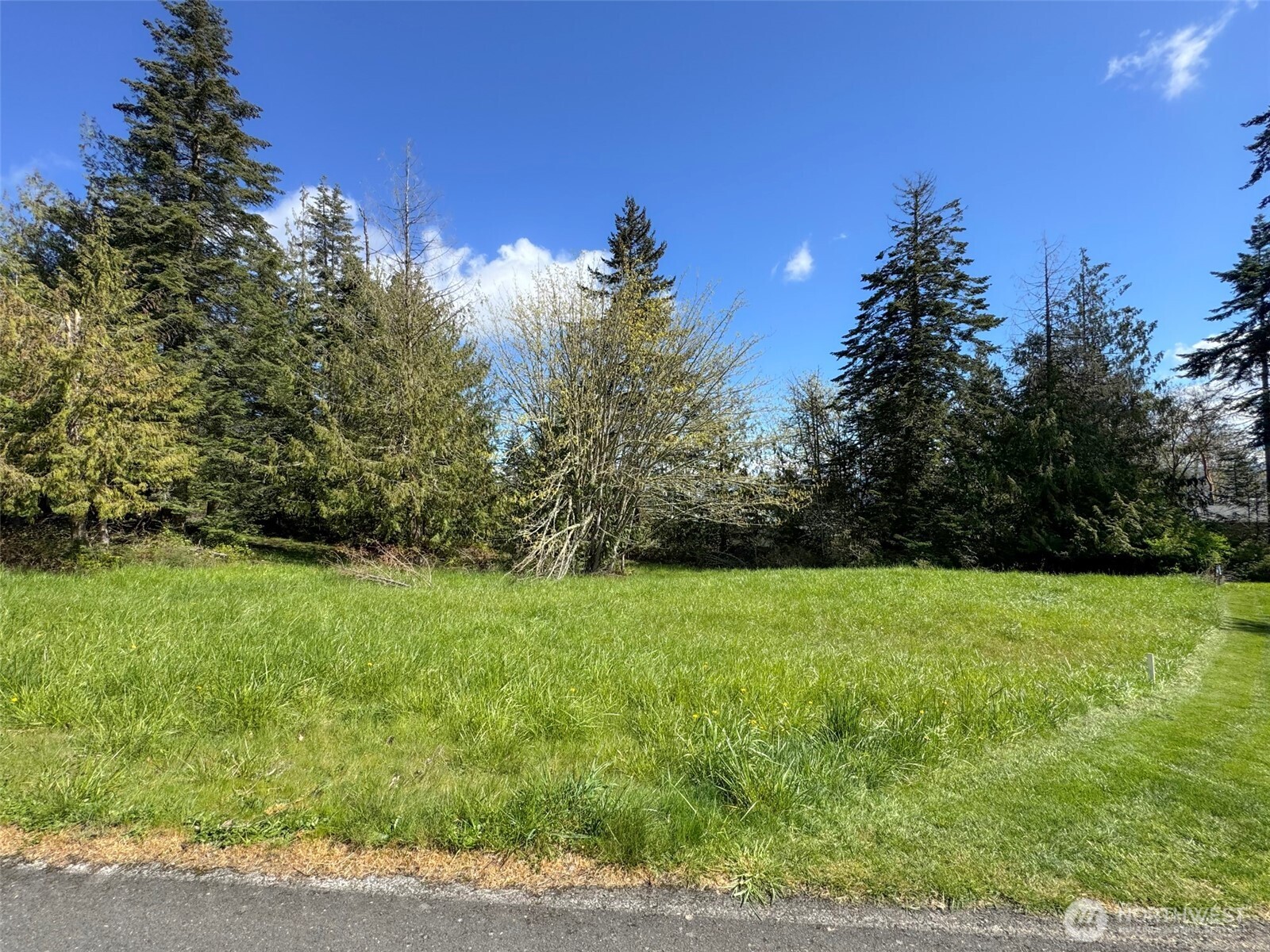 9999 Elks Pass Road Property Photo 10