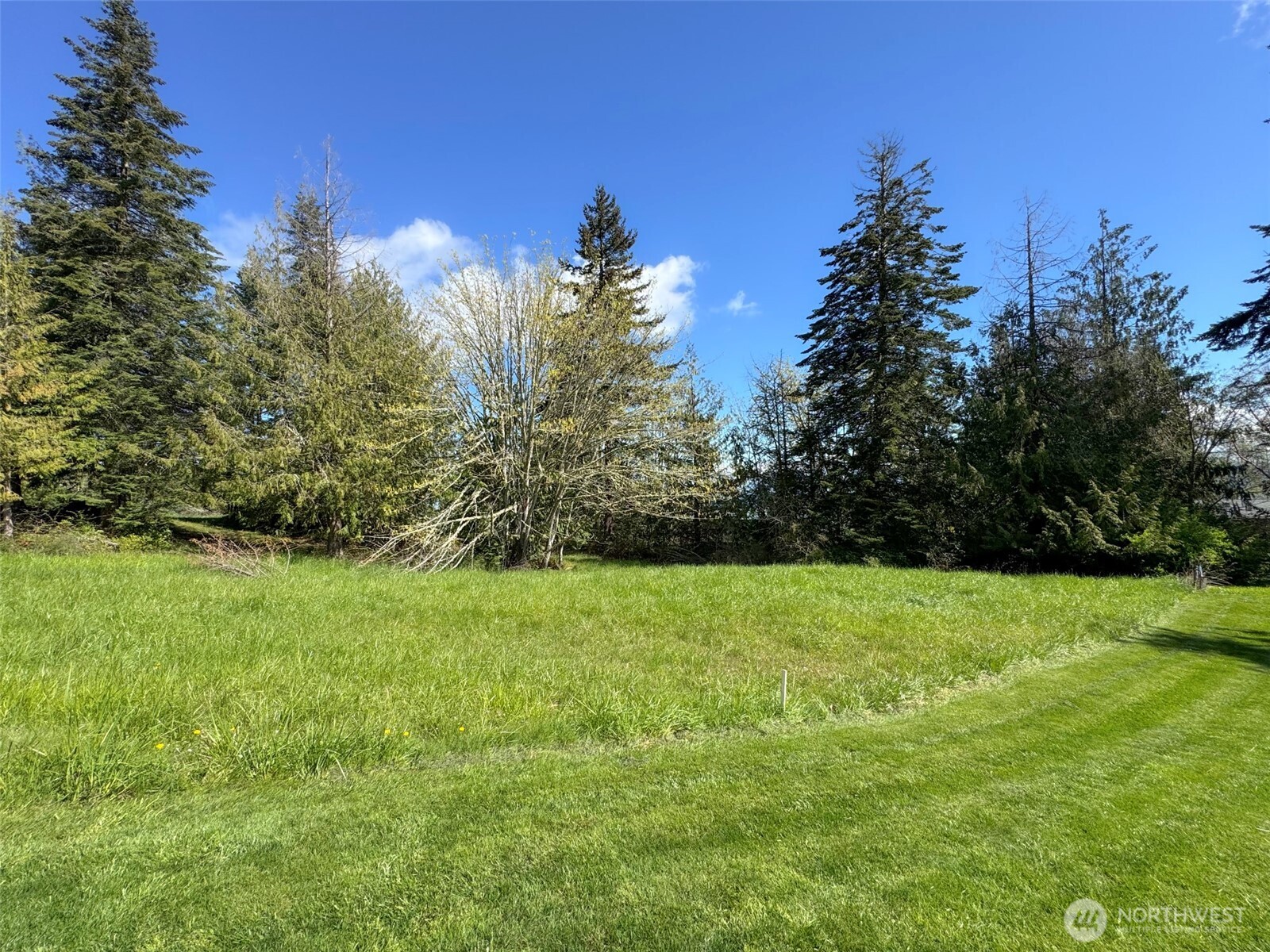 9999 Elks Pass Road Property Photo 11